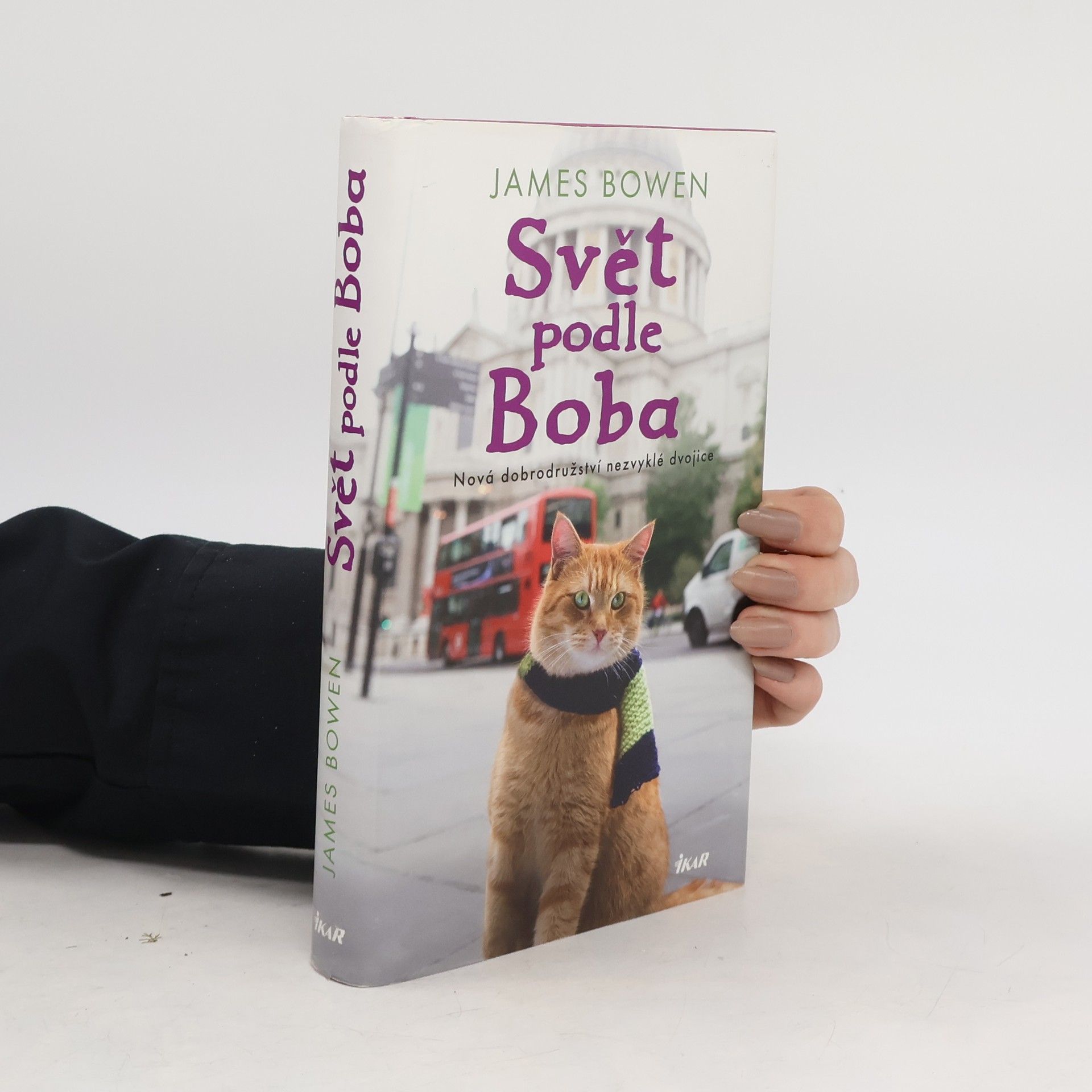 James Bowen Svět podle Boba