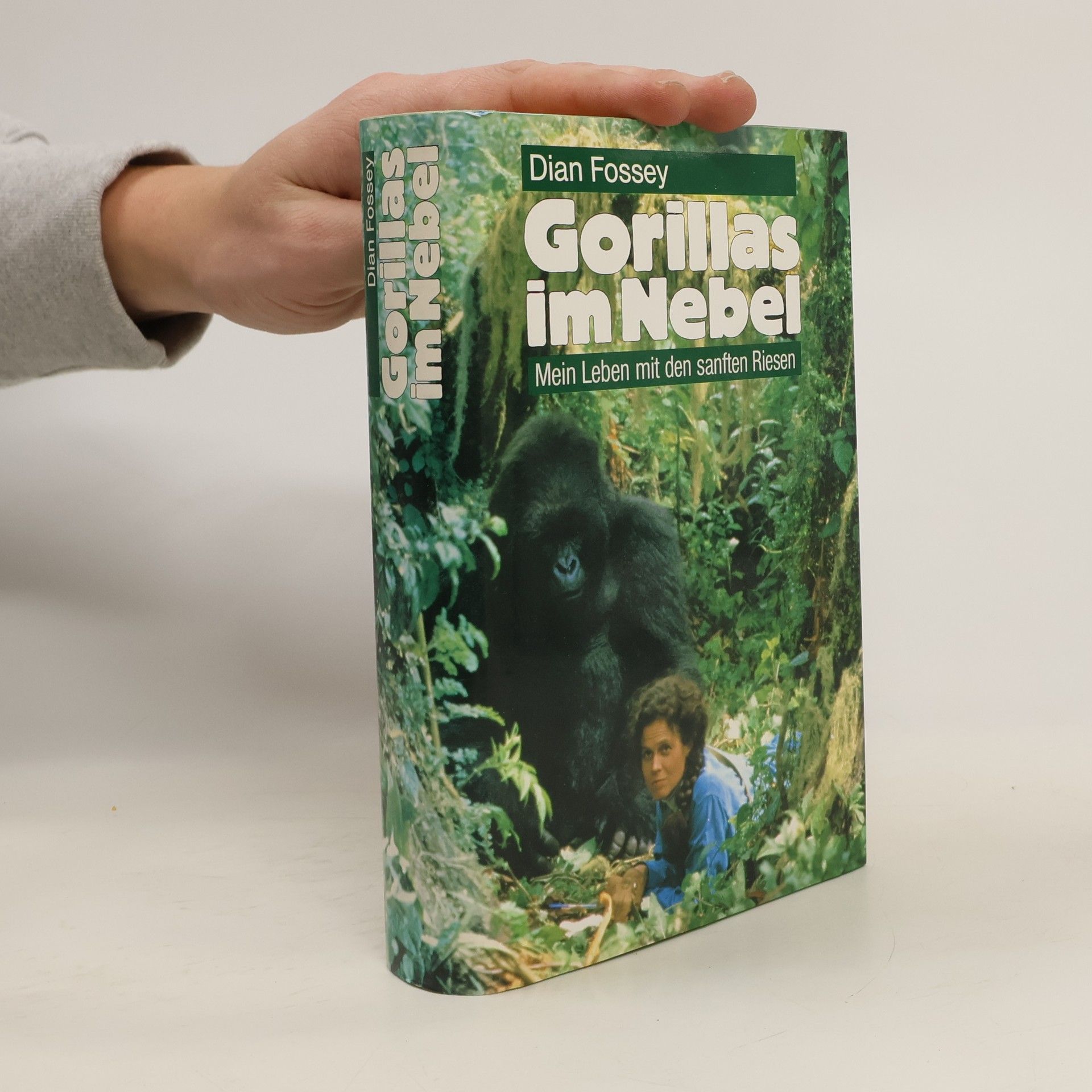 Dian Fossey Gorillas im Nebel