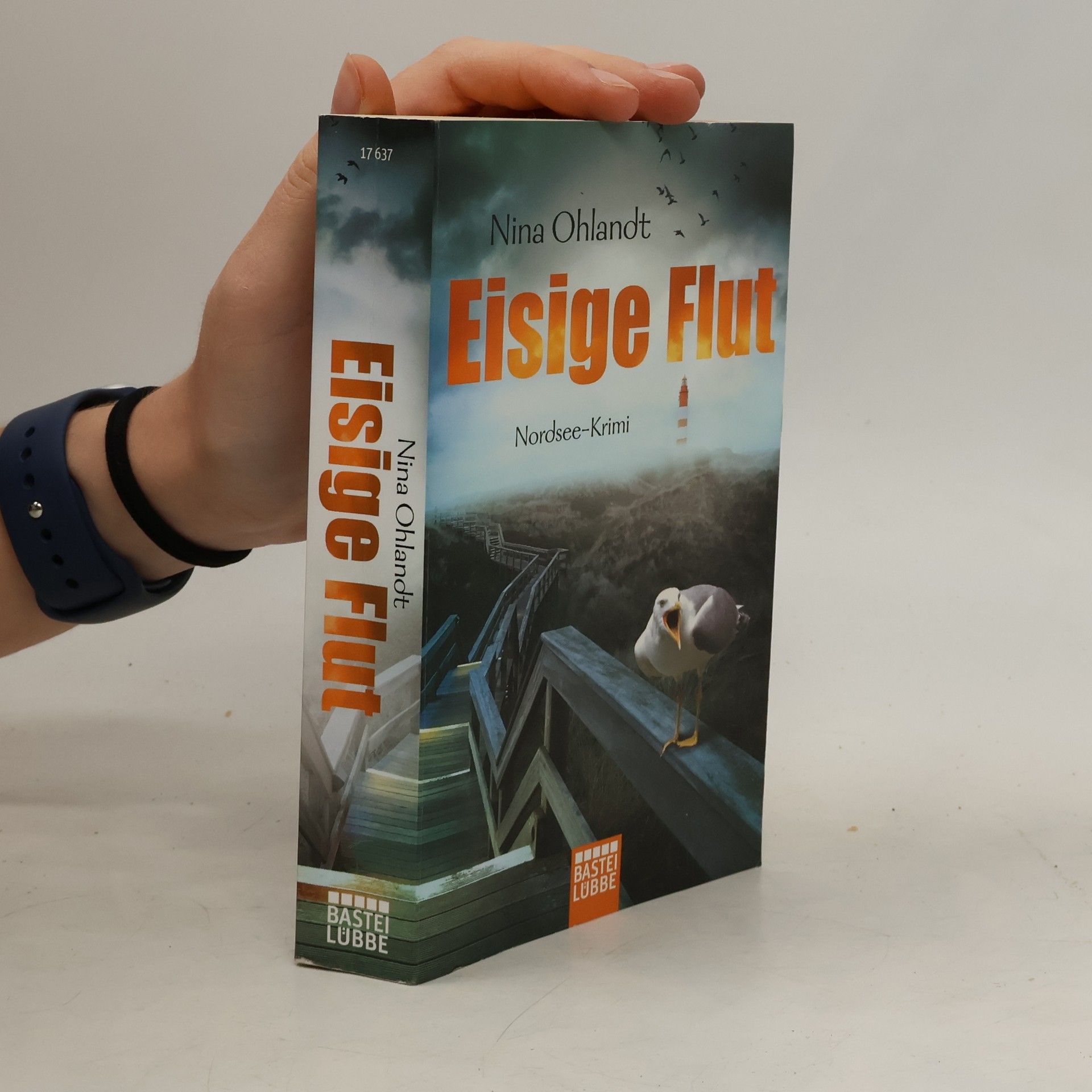 Nina Ohlandt Eisige Flut