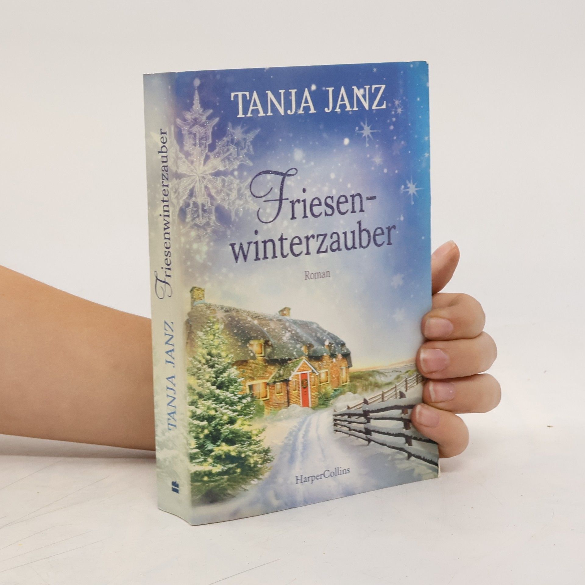 Tanja Janz Friesenwinterzauber