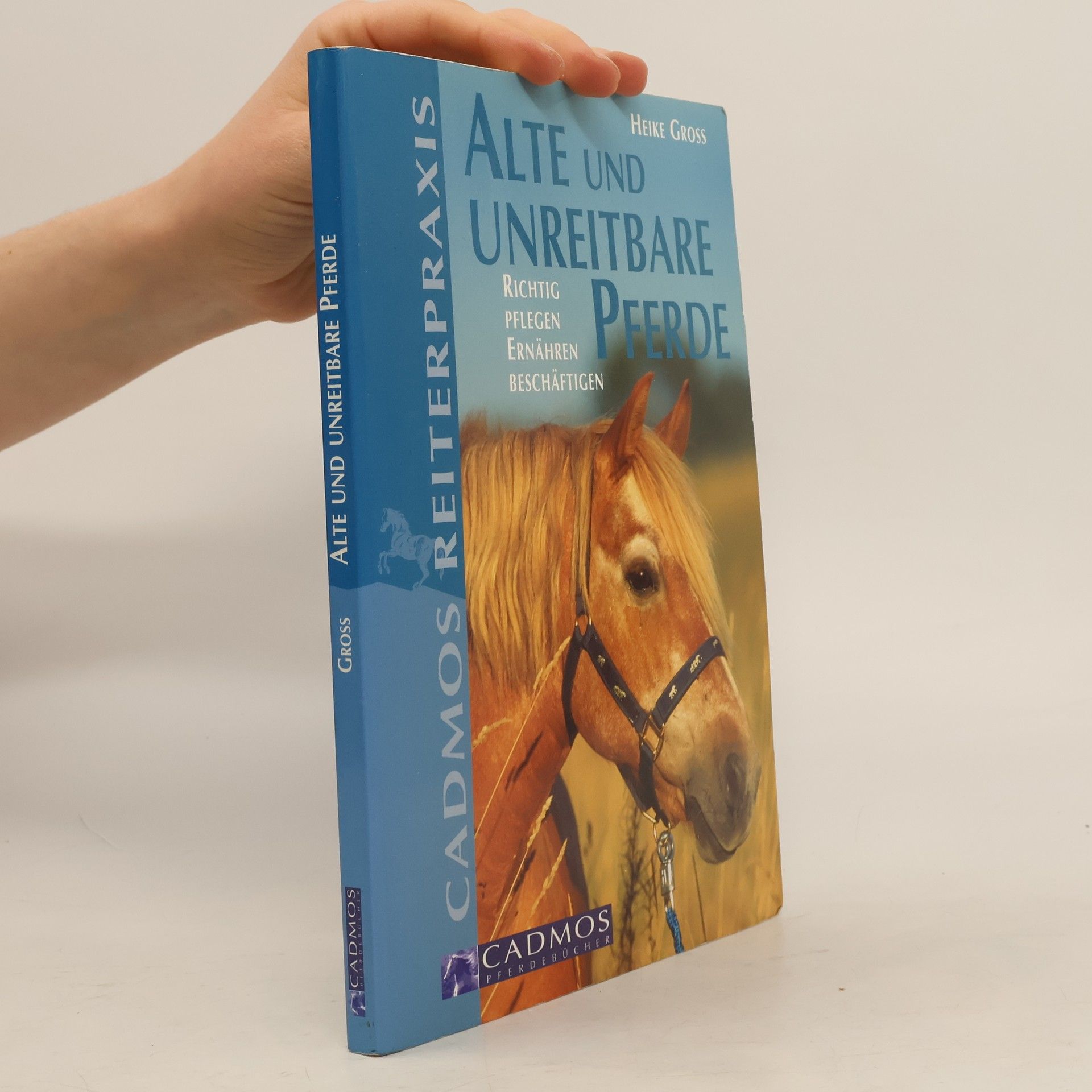 Alte und unreitbare Pferde