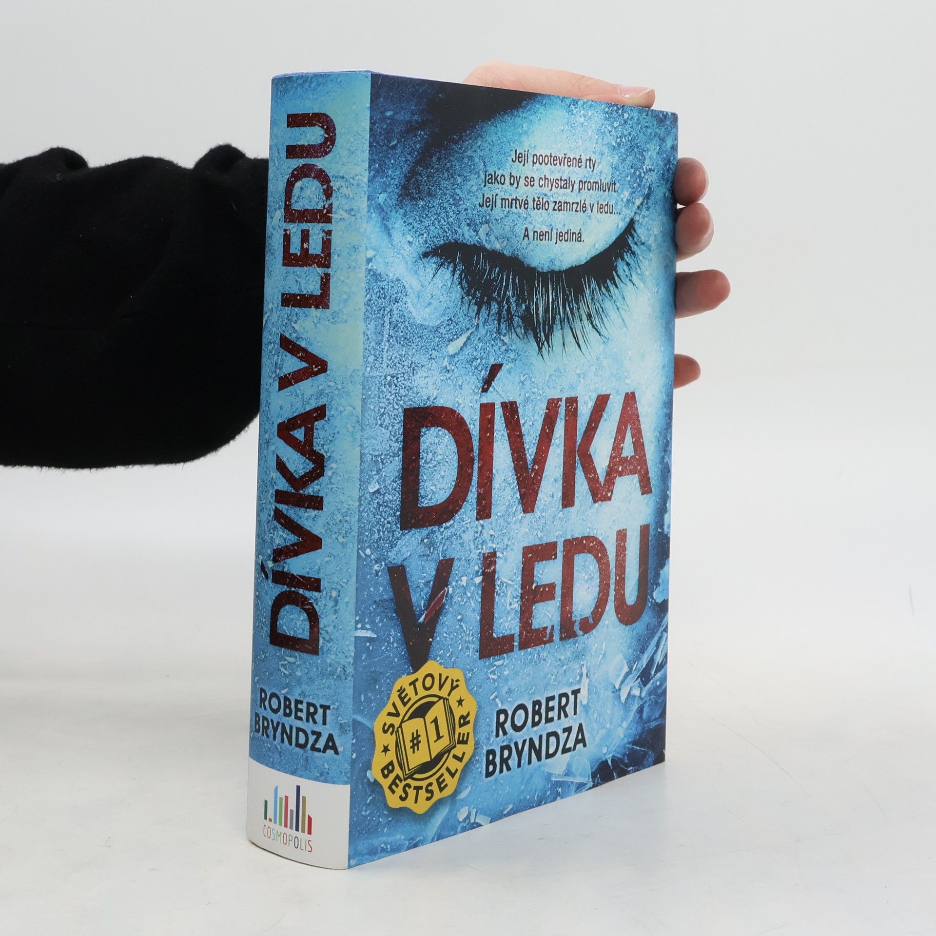 Robert Bryndza Dívka v ledu