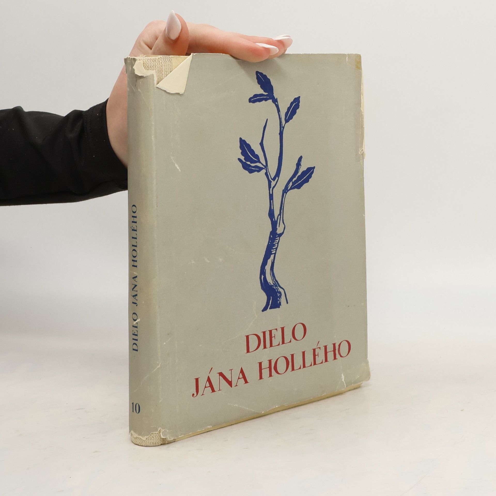 Dielo Jana Hollého 8