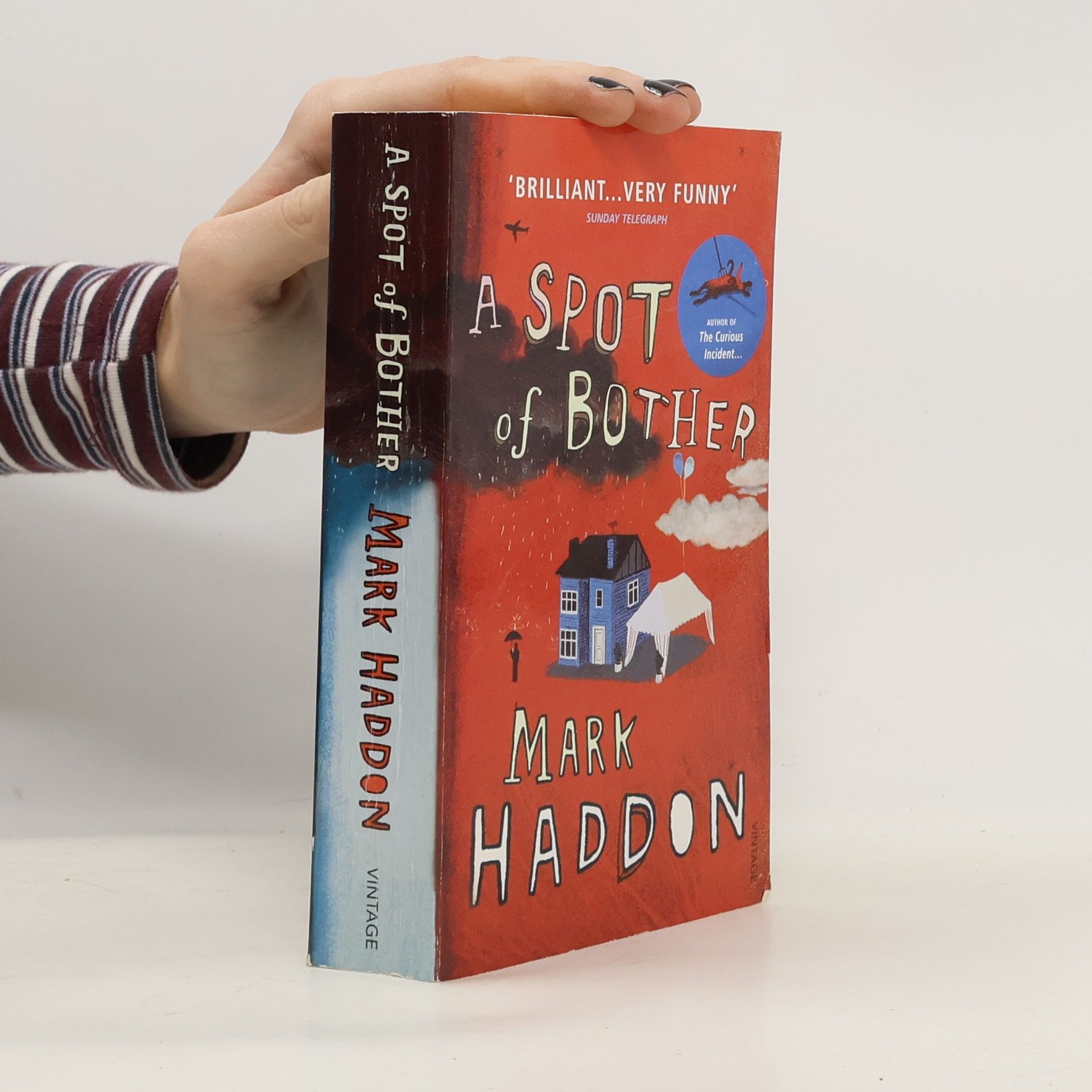 Mark Haddon A Spot of Bother