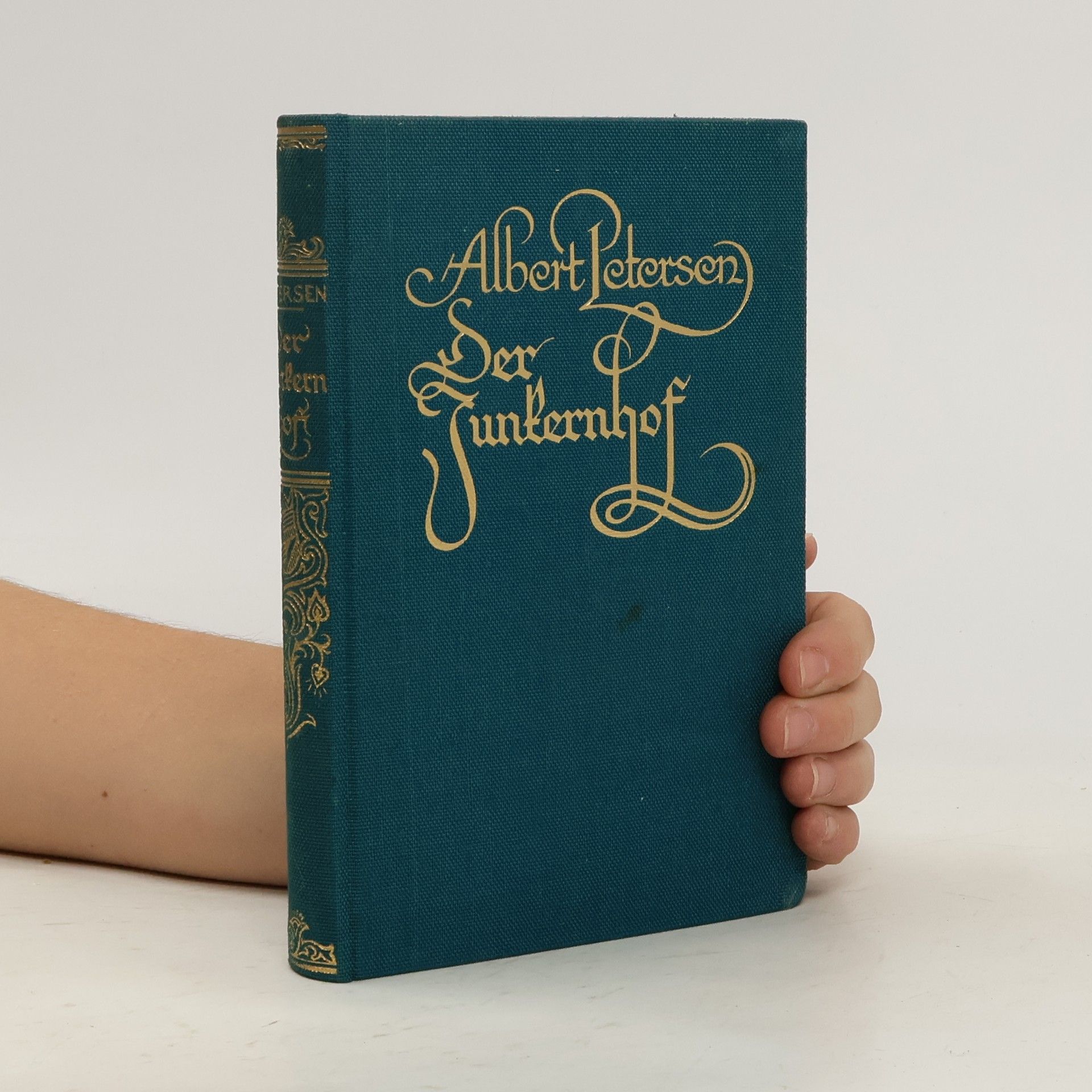 Albert Petersen Der Junkernhof