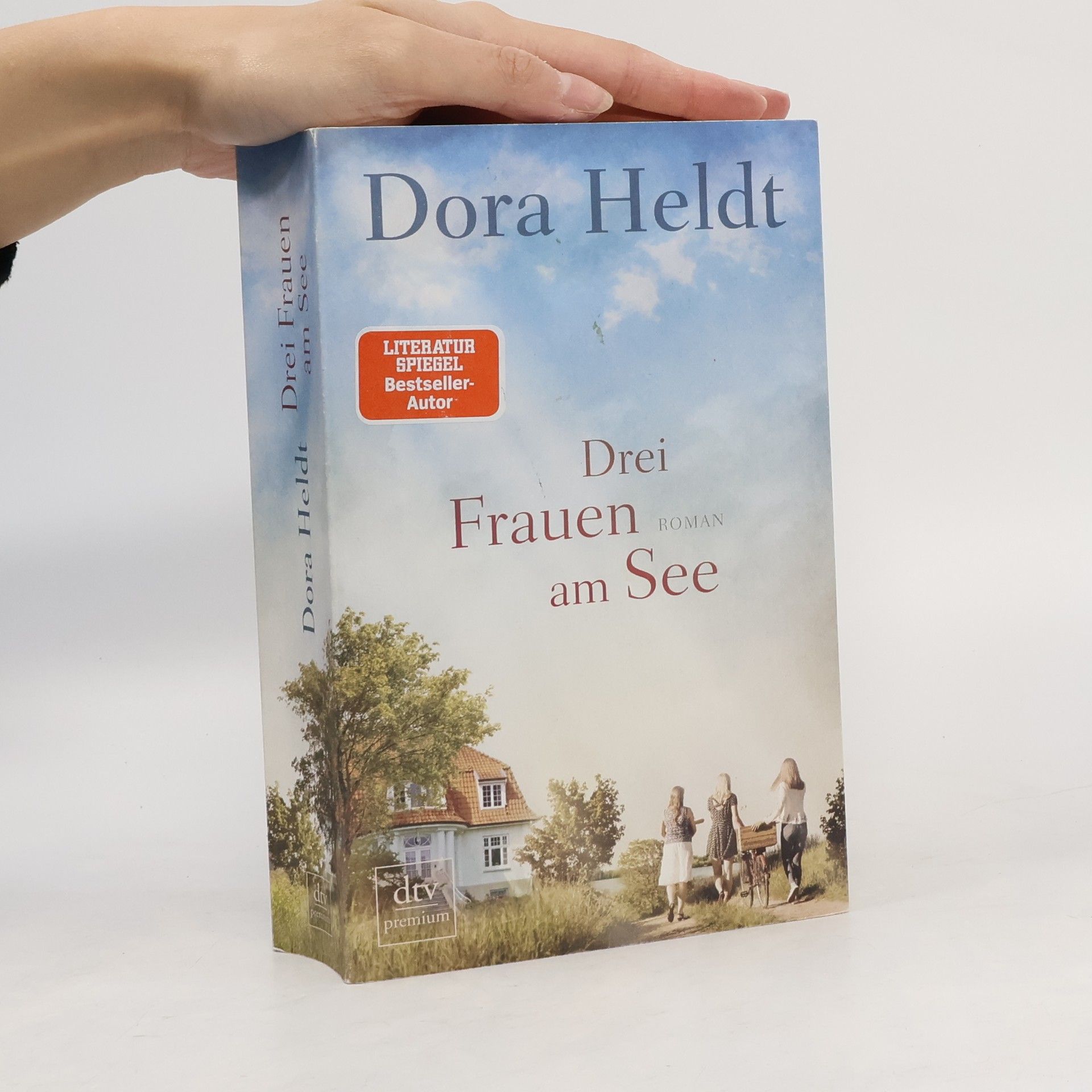 Dora Heldt Drei Frauen am See