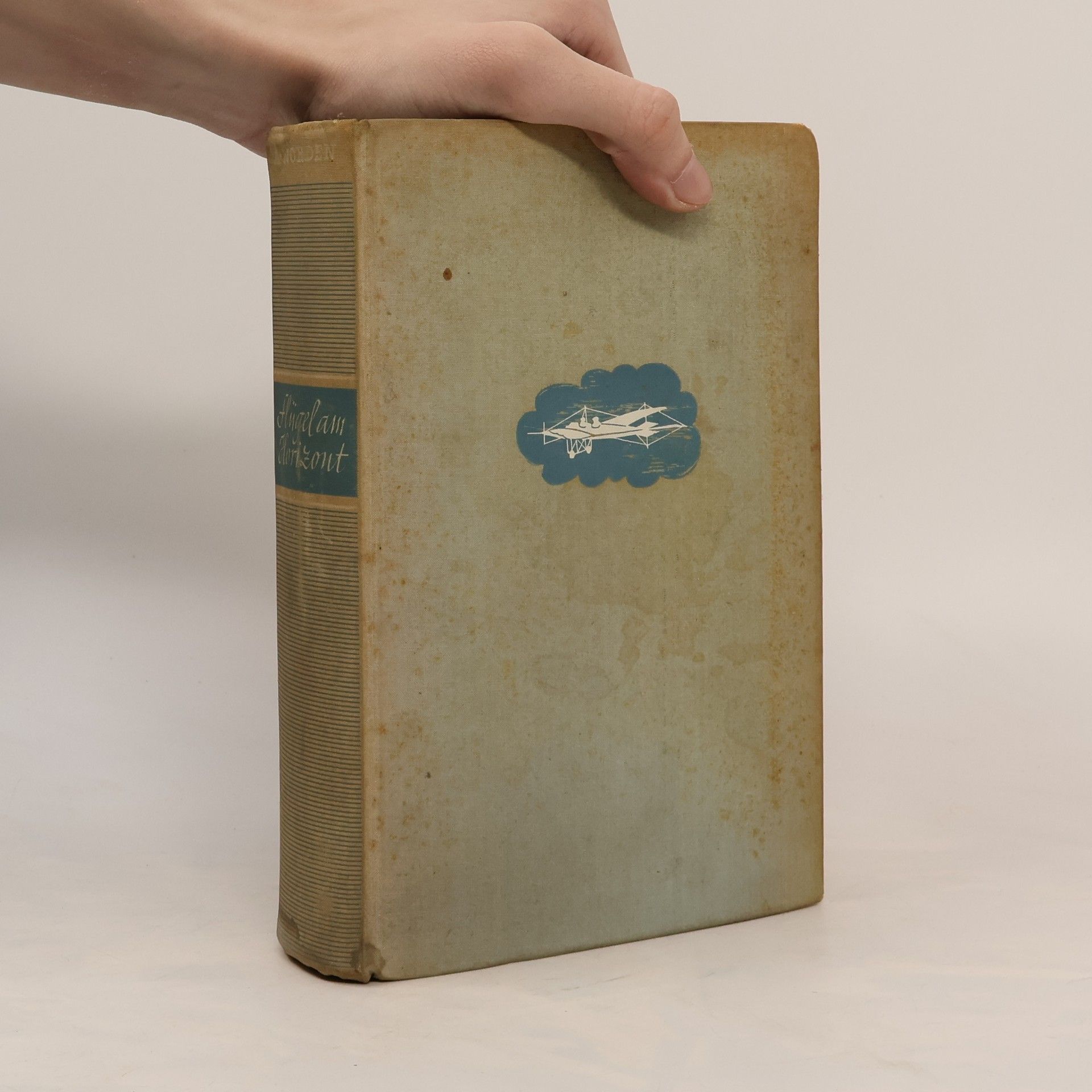 Adalbert Norden Flügel am Horizont