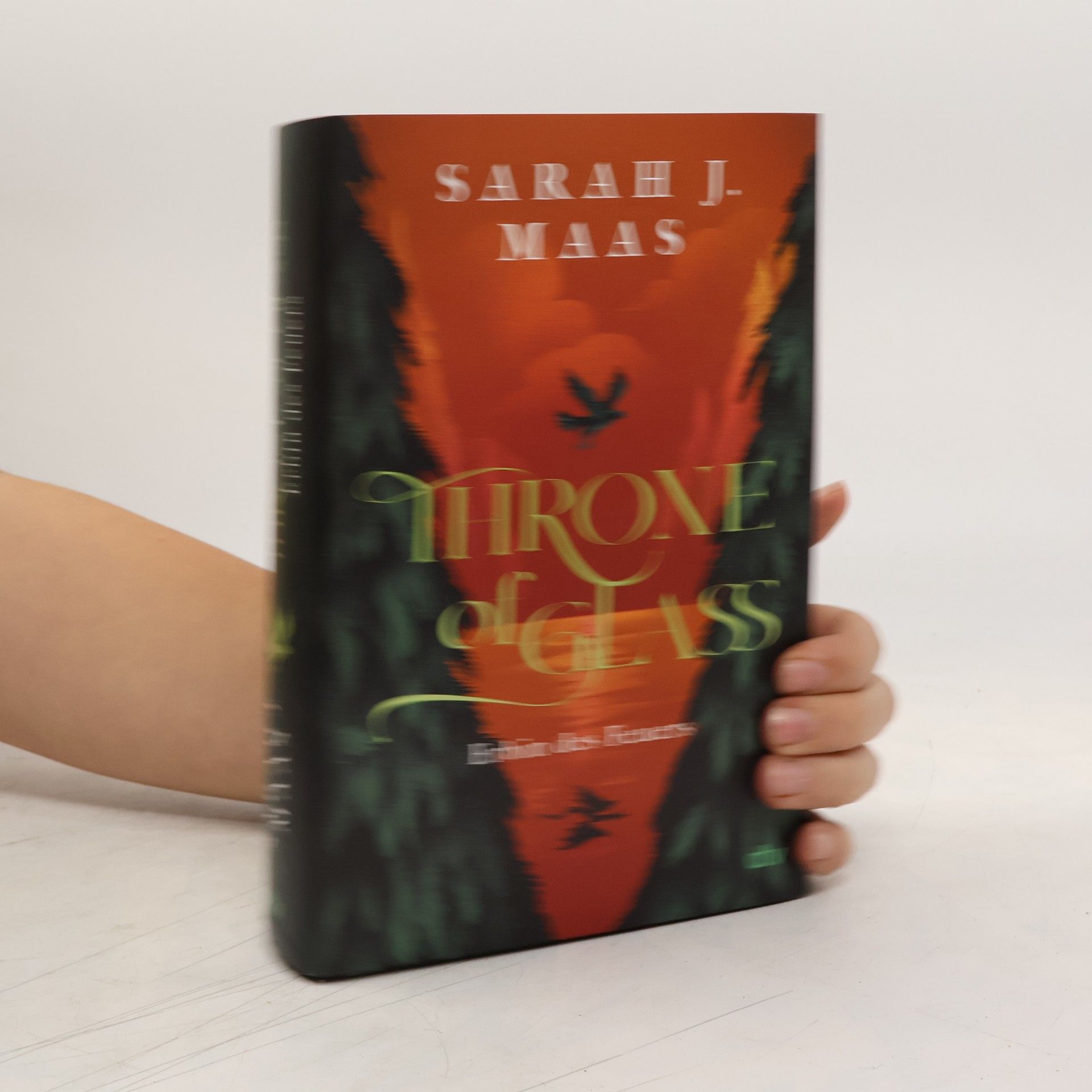 Ilse Layer Throne of Glass – Erbin des Feuers