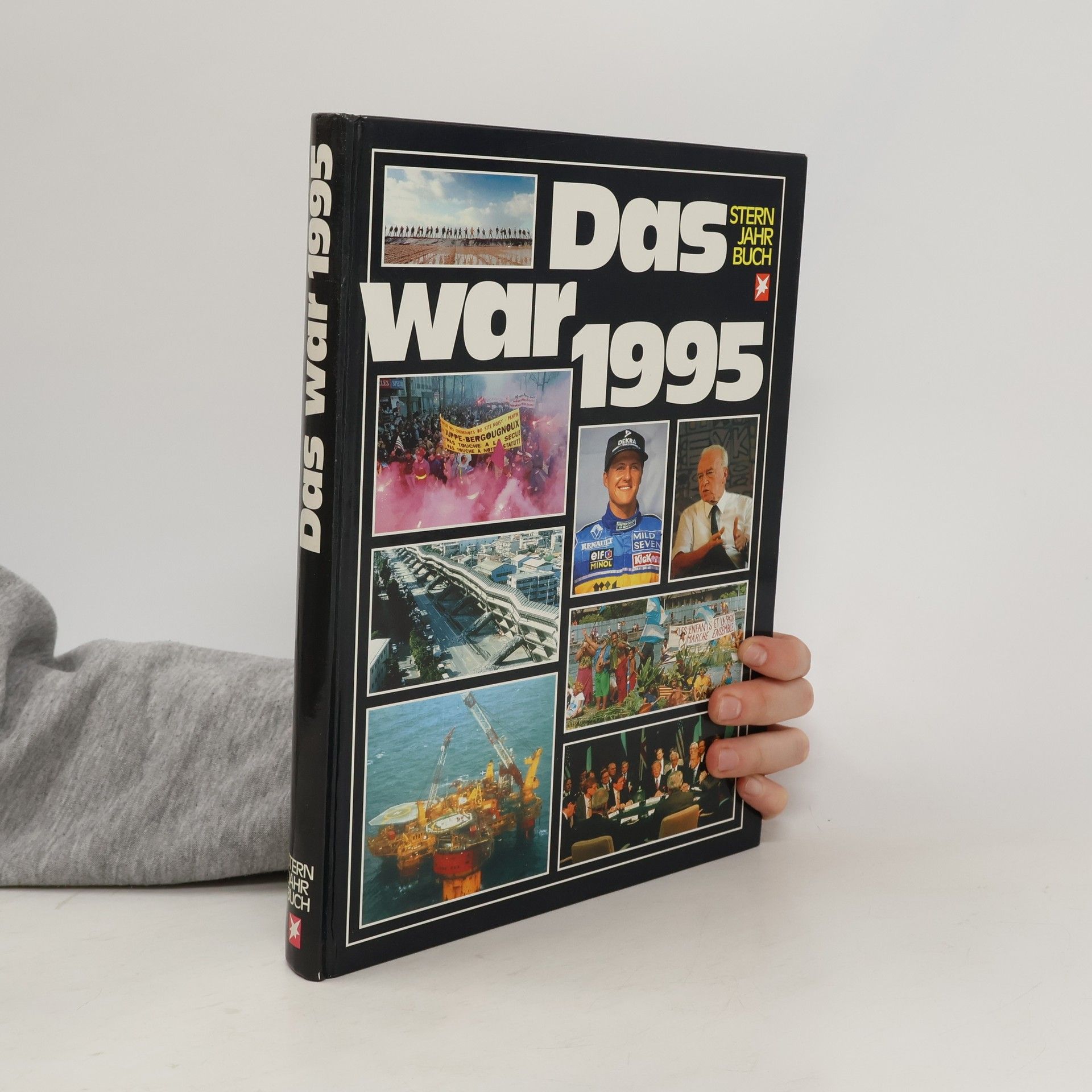 Collectif d'auteurs Das war 1995