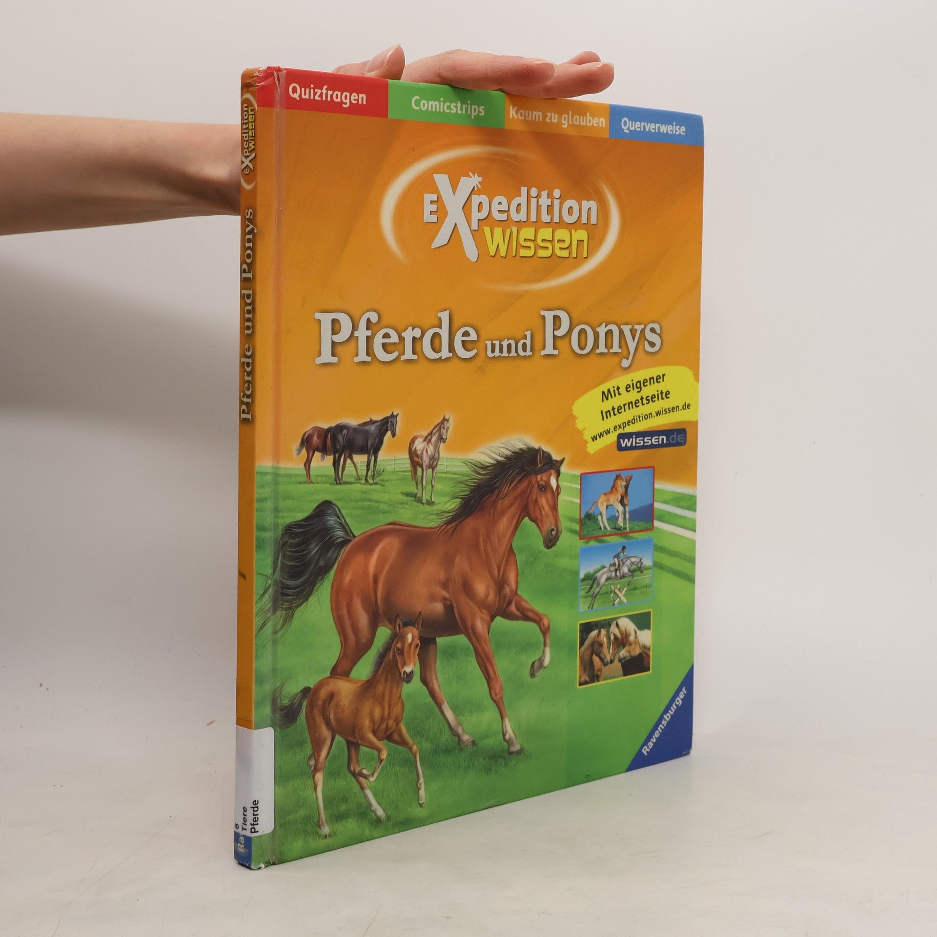 Elisabetta Ferrero Pferde und Ponys