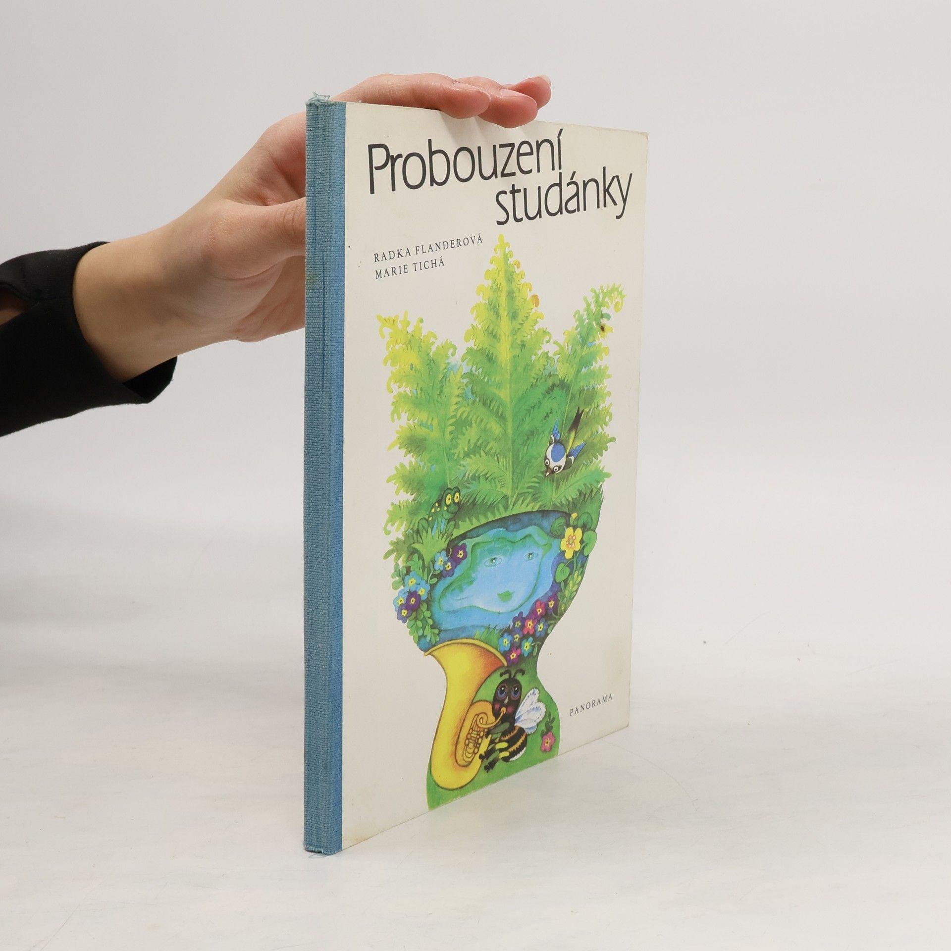 Marie Tichá Probouzení studánky