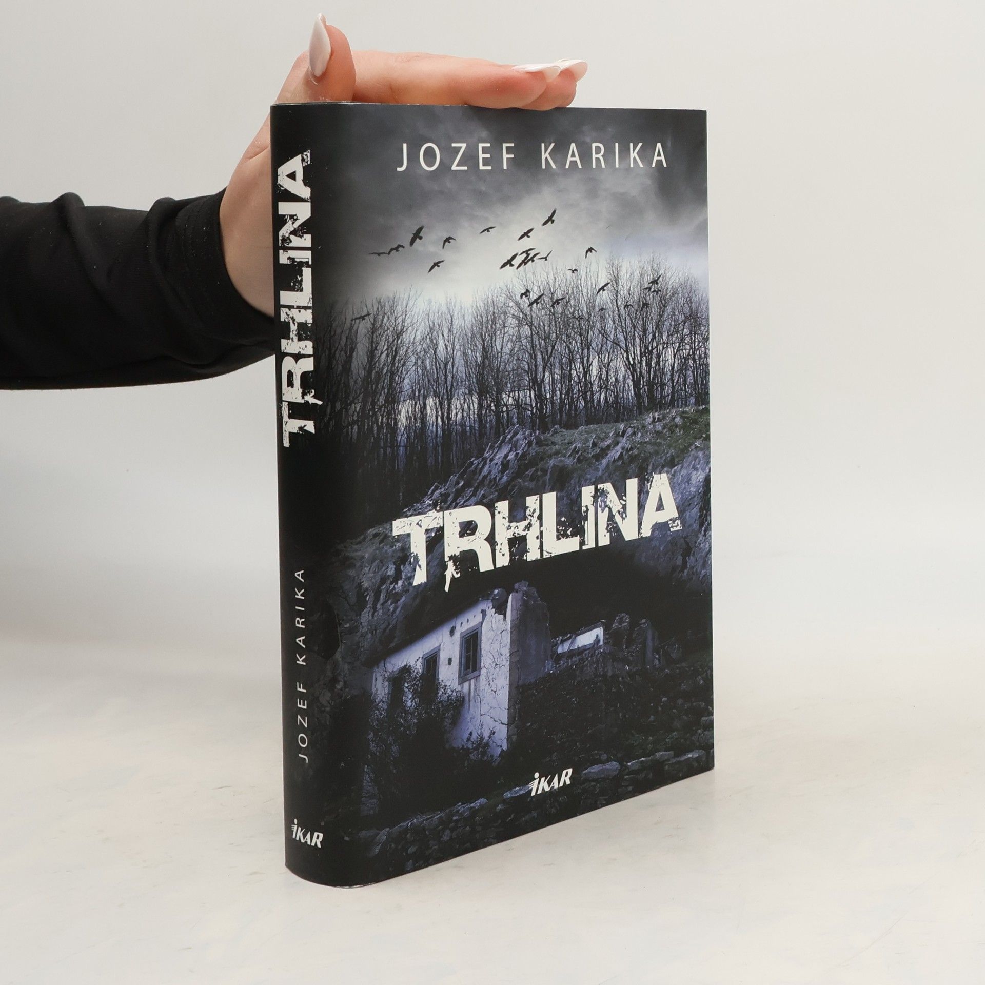 Jozef Karika Trhlina