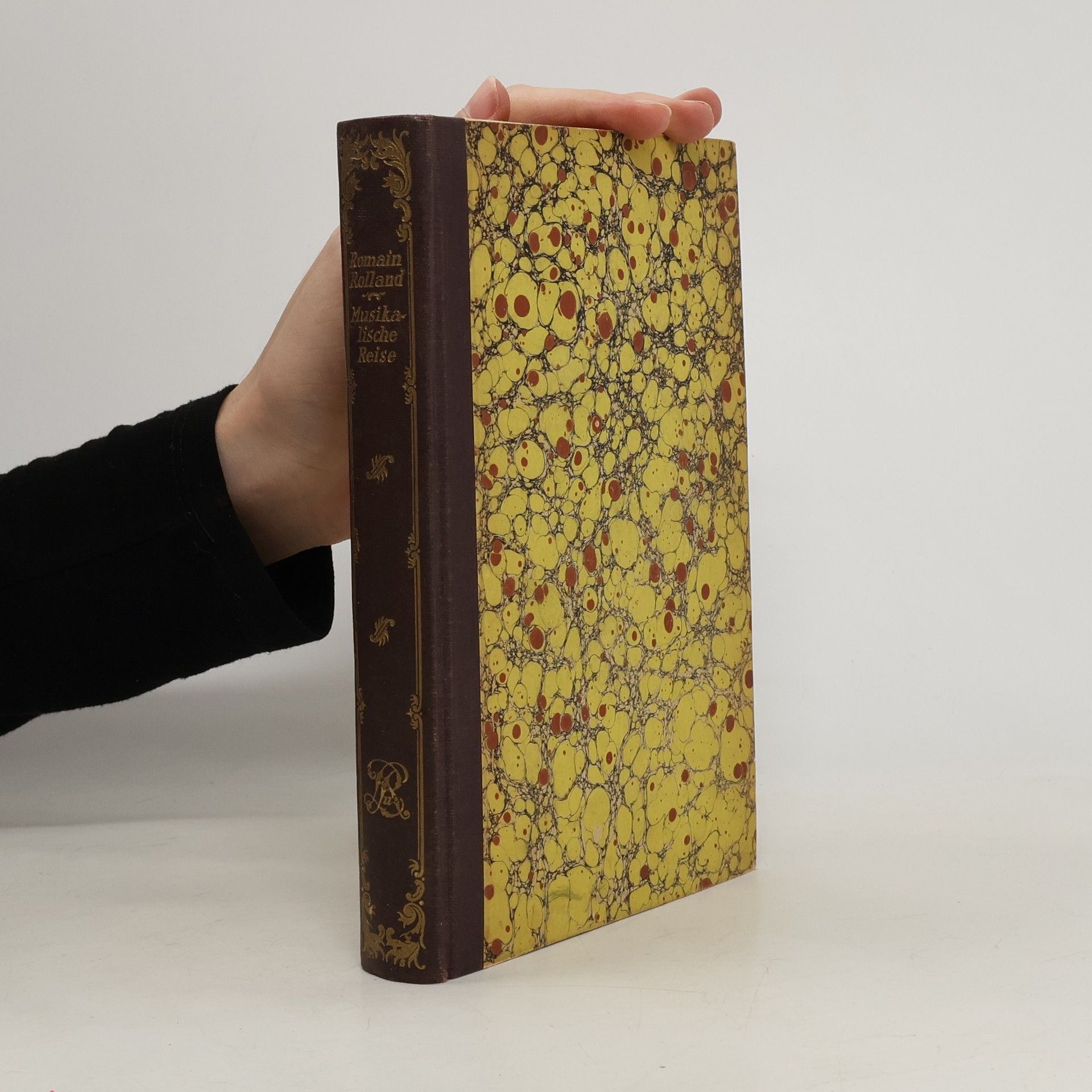 Romain Rolland Musikalische Reise ins Land der Vergangenheit