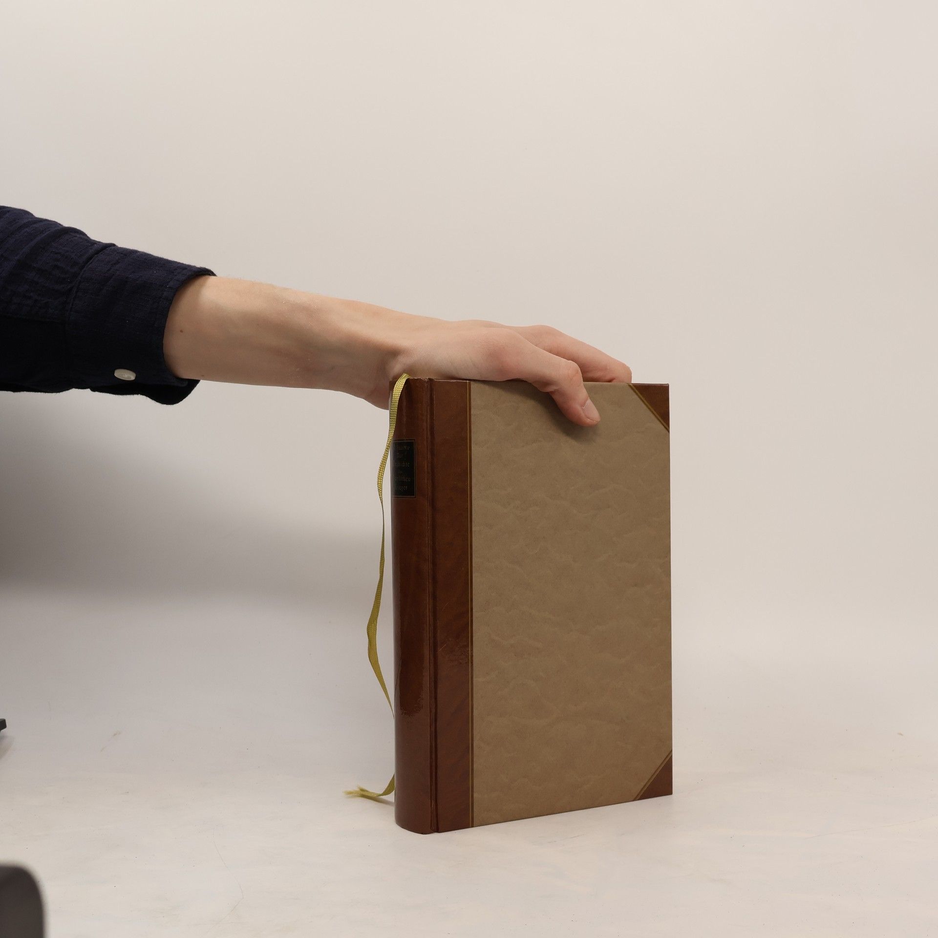 Zur Geschichte des Nordischen Krieges