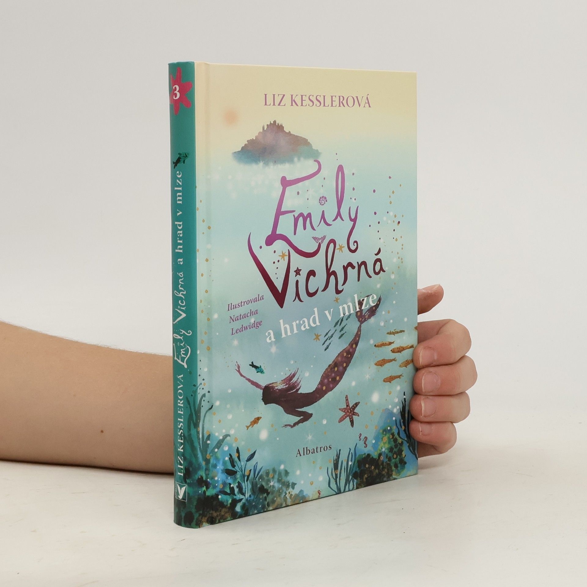 Liz Kessler Emily Vichrná a hrad v mlze