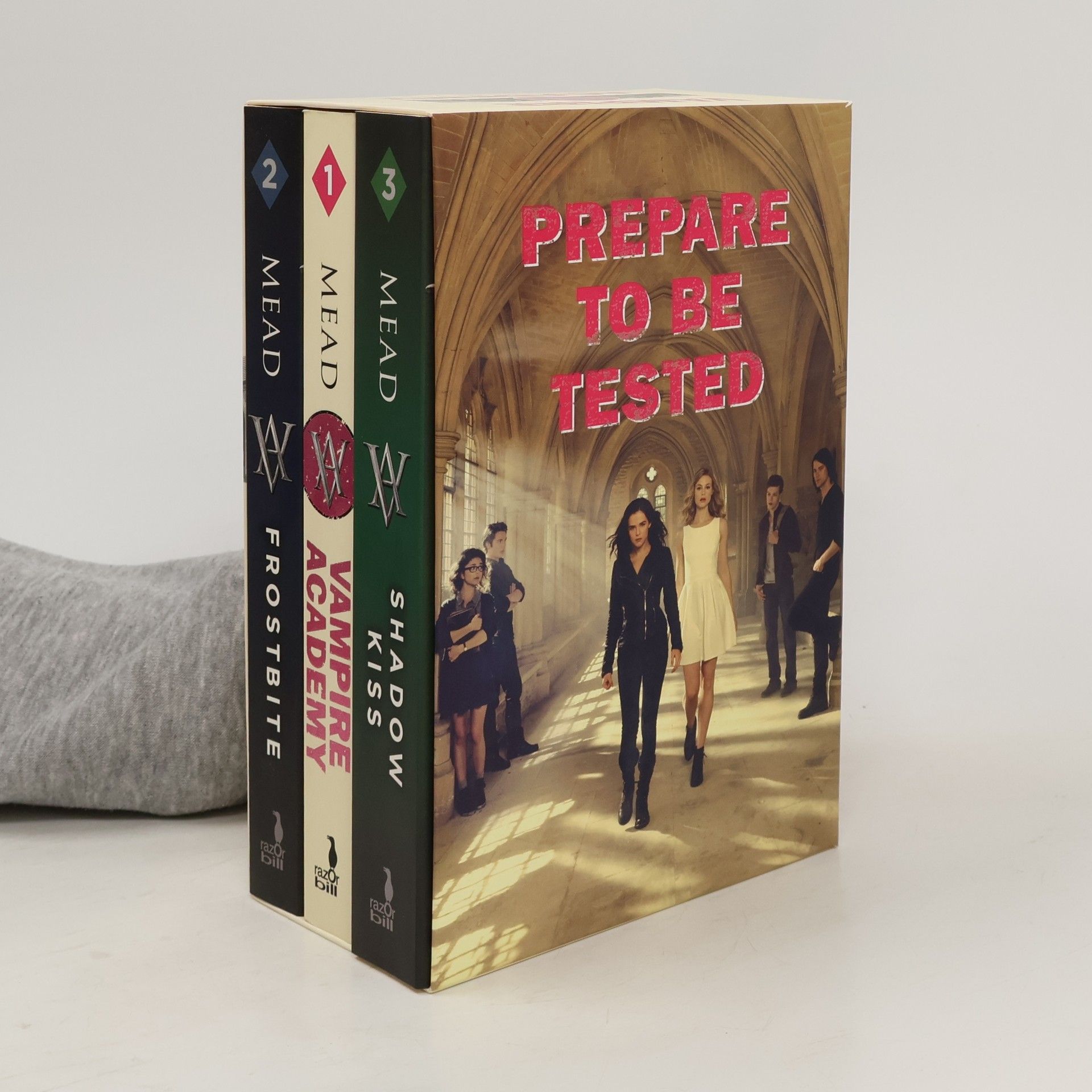 Richelle Mead Vampire Academy 1-3