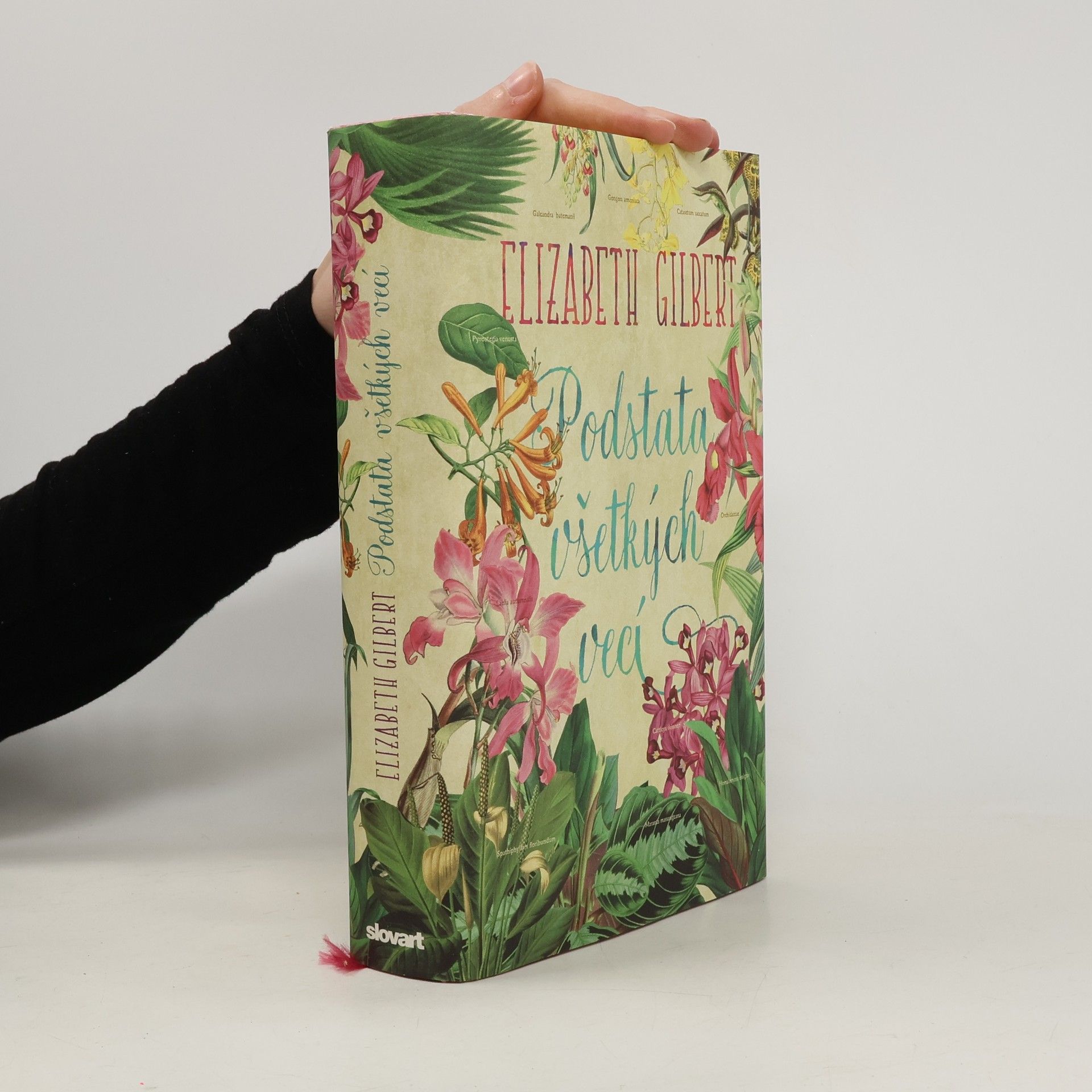 Elizabeth Gilbert Podstata všetkých vecí