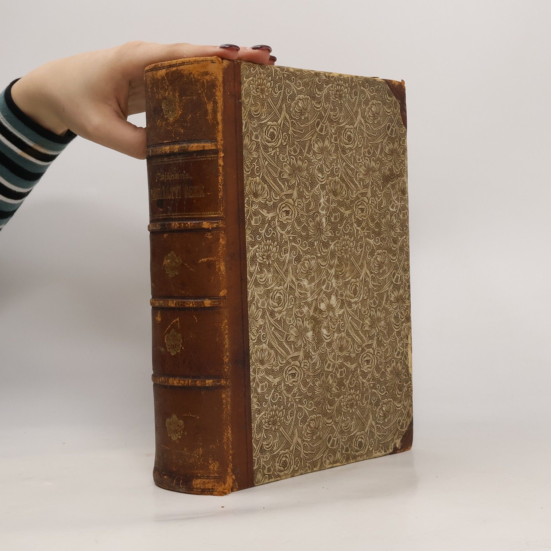 Václav Flajšhans Písemnictví české slovem i obrazem od nejdávnějších dob až po naše časy