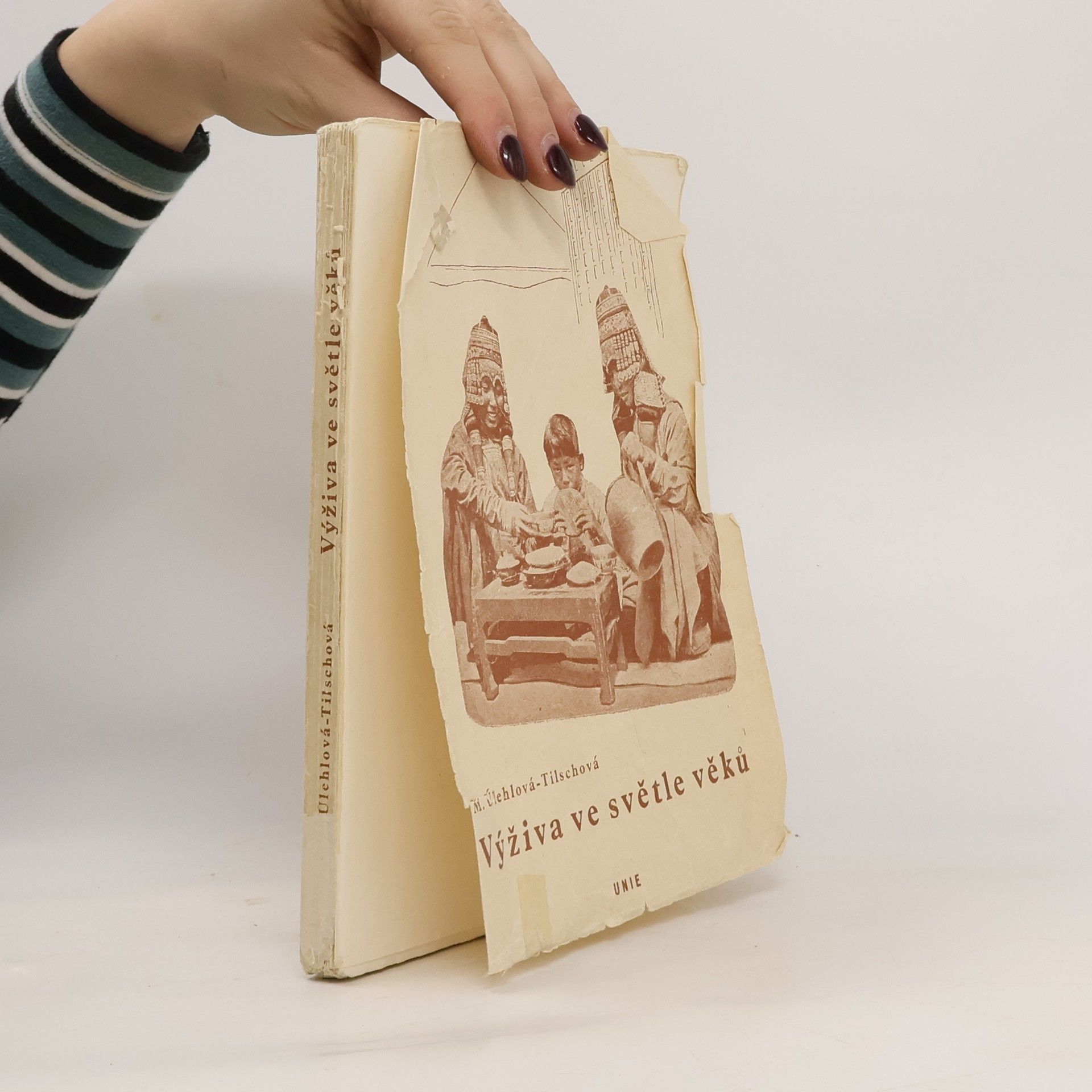 Mimi Úlehlová-Tilschová Výživa ve světle věků