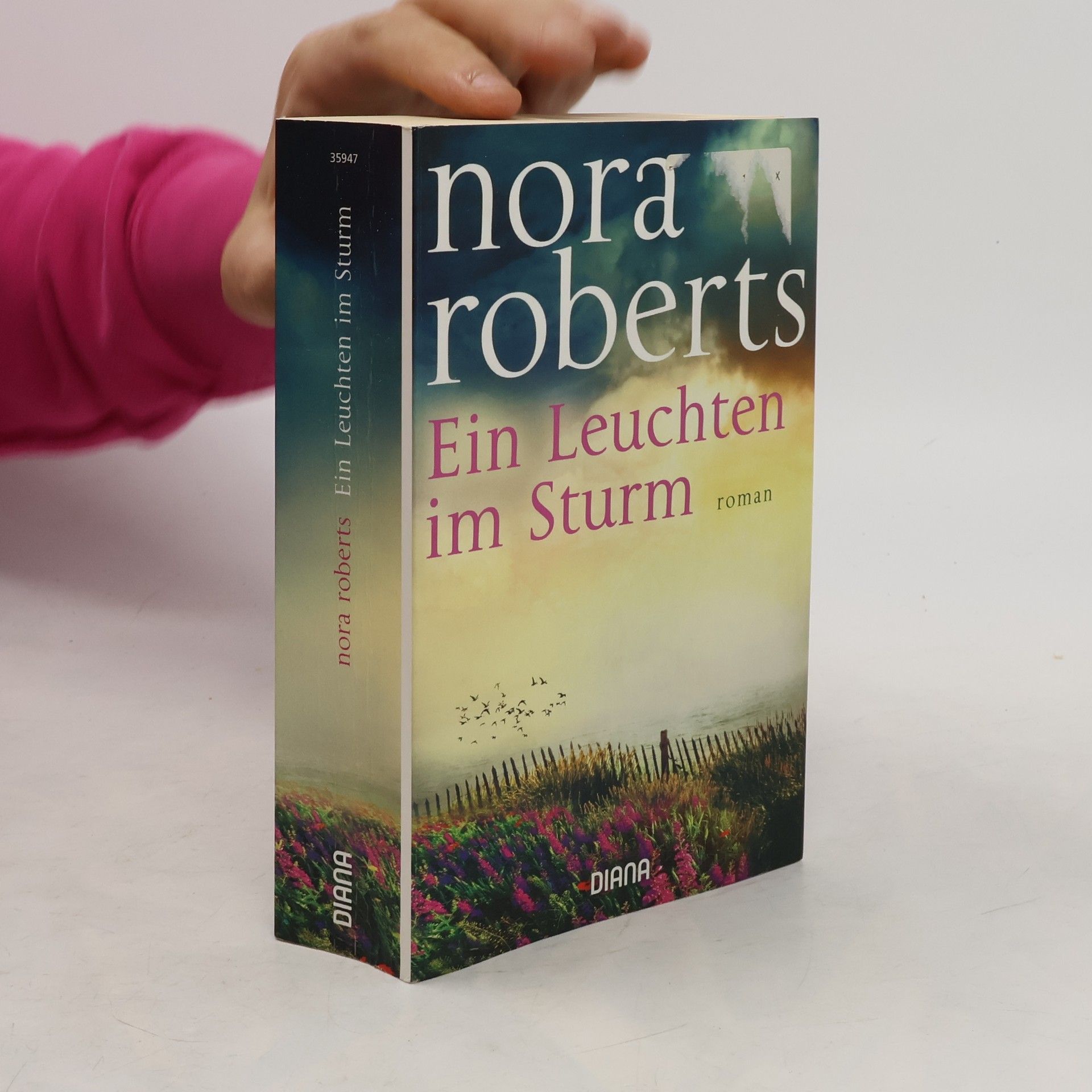 Ein Leuchten im Sturm