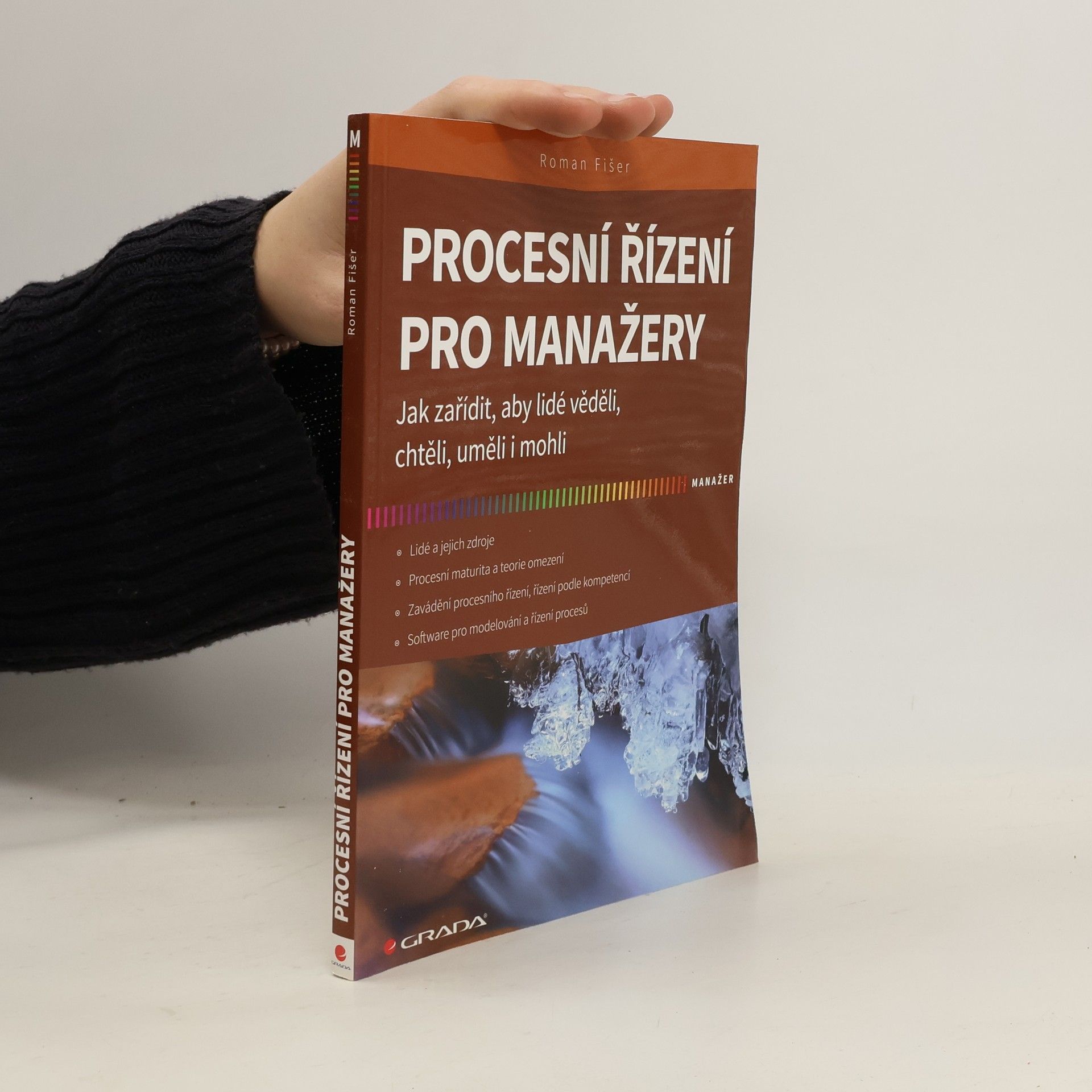 Roman Fišer Procesní řízení pro manažery
