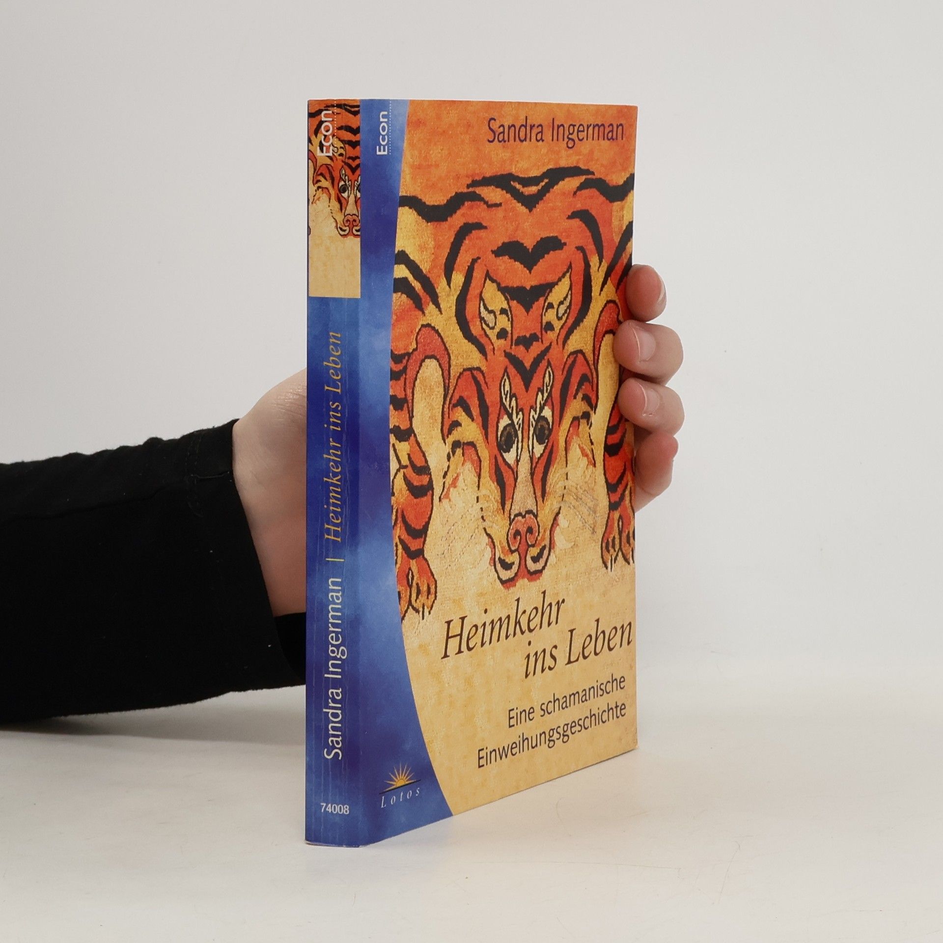 Sandra Ingerman Heimkehr ins Leben