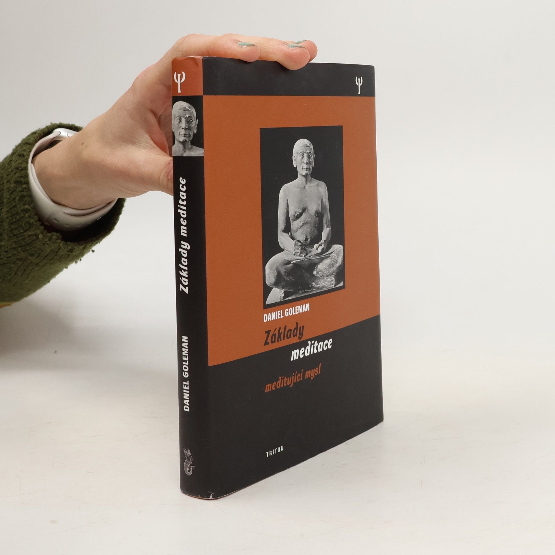 Daniel Goleman Meditující mysl : typy meditační zkušenosti