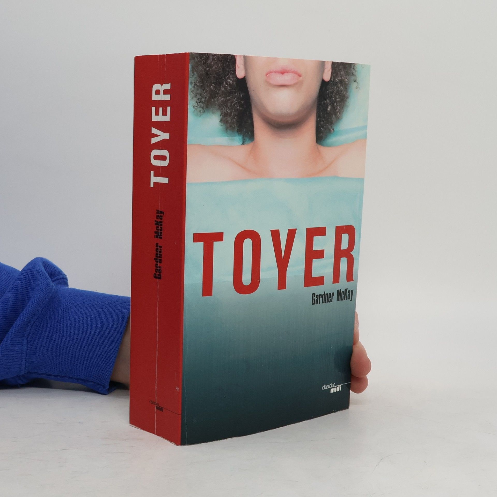 Fabrice Pointeau Toyer