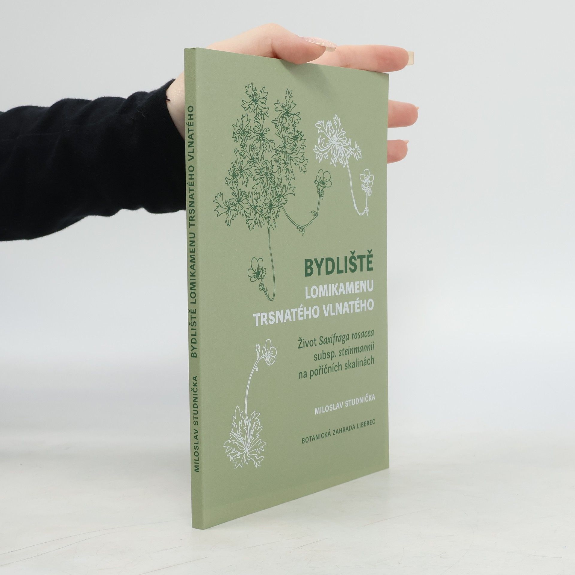 Miloslav Studnička Bydliště lomikamenu trsnatého vlnatého