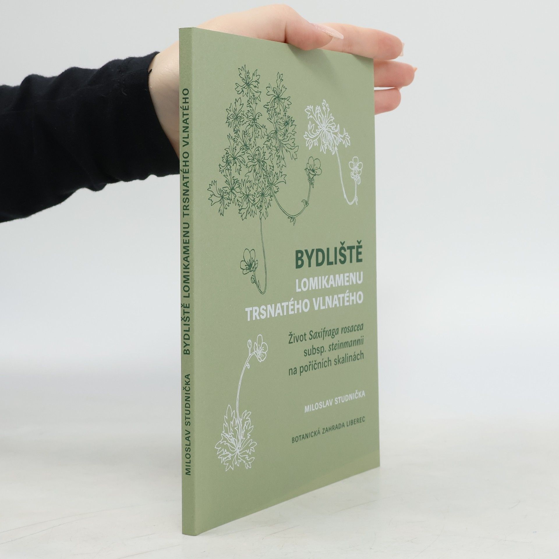 Bydliště lomikamenu trsnatého vlnatého