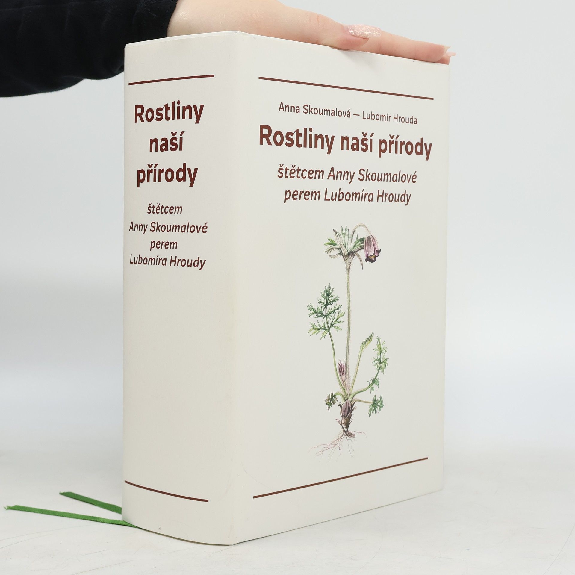 Lubomír Hrouda Rostliny naší přírody štětcem Anny Skoumalové a perem Lubomíra Hroudy