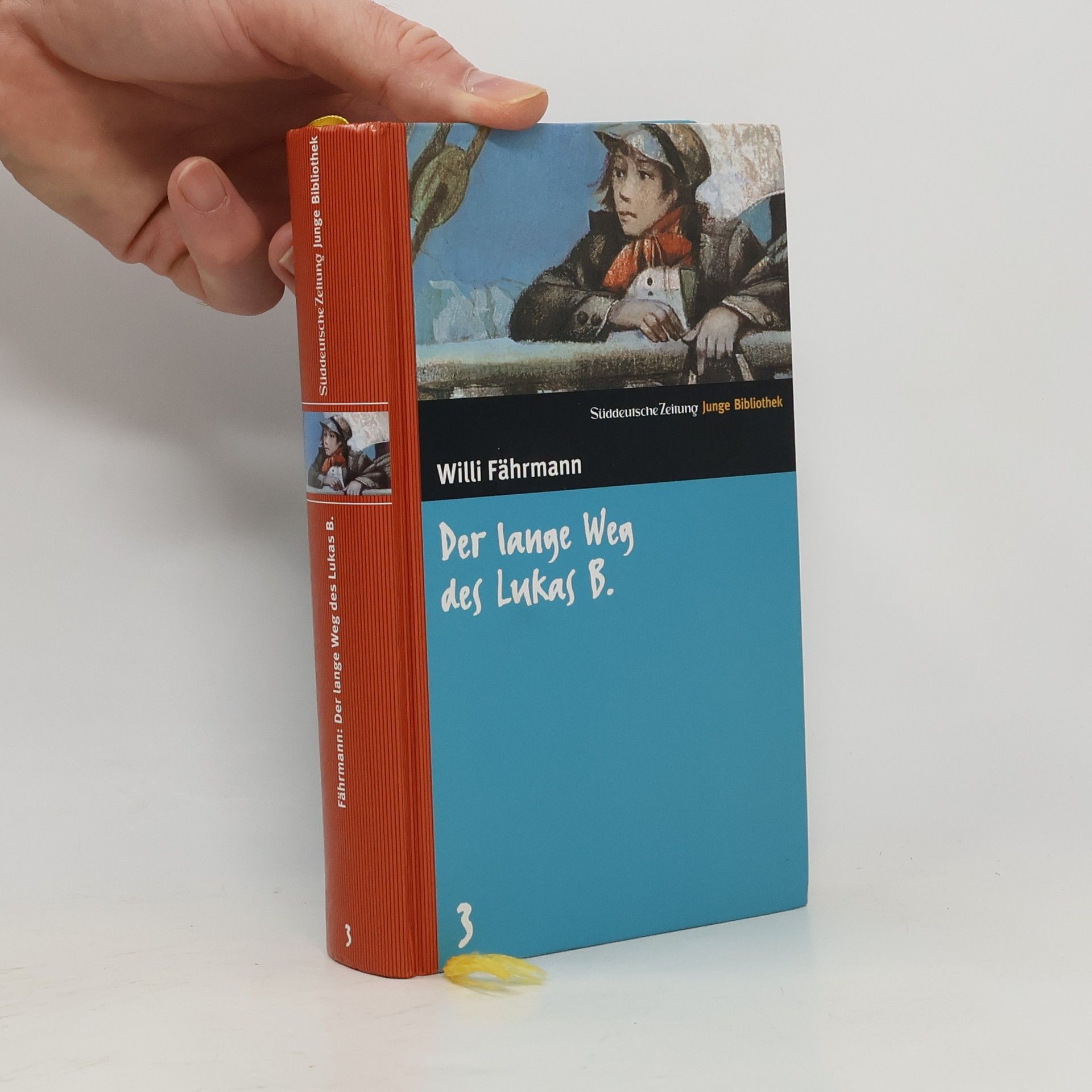 Willi Fährmann Der lange Weg des Lukas B.