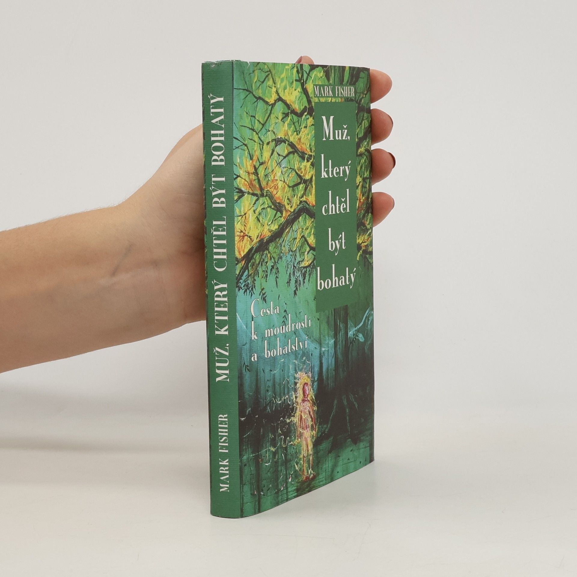 Mark Fisher Muž, který chtěl být bohatý