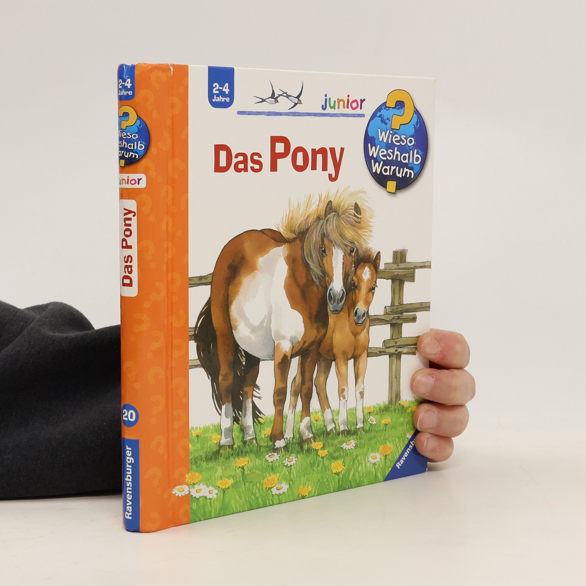 Das Pony