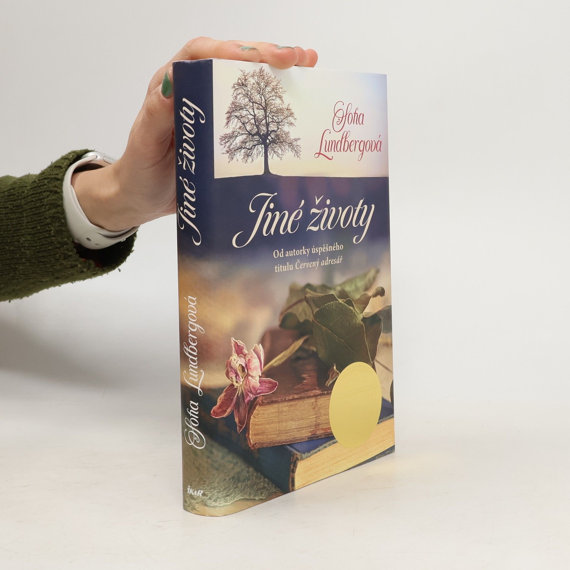 Sofia Lundberg Jiné životy