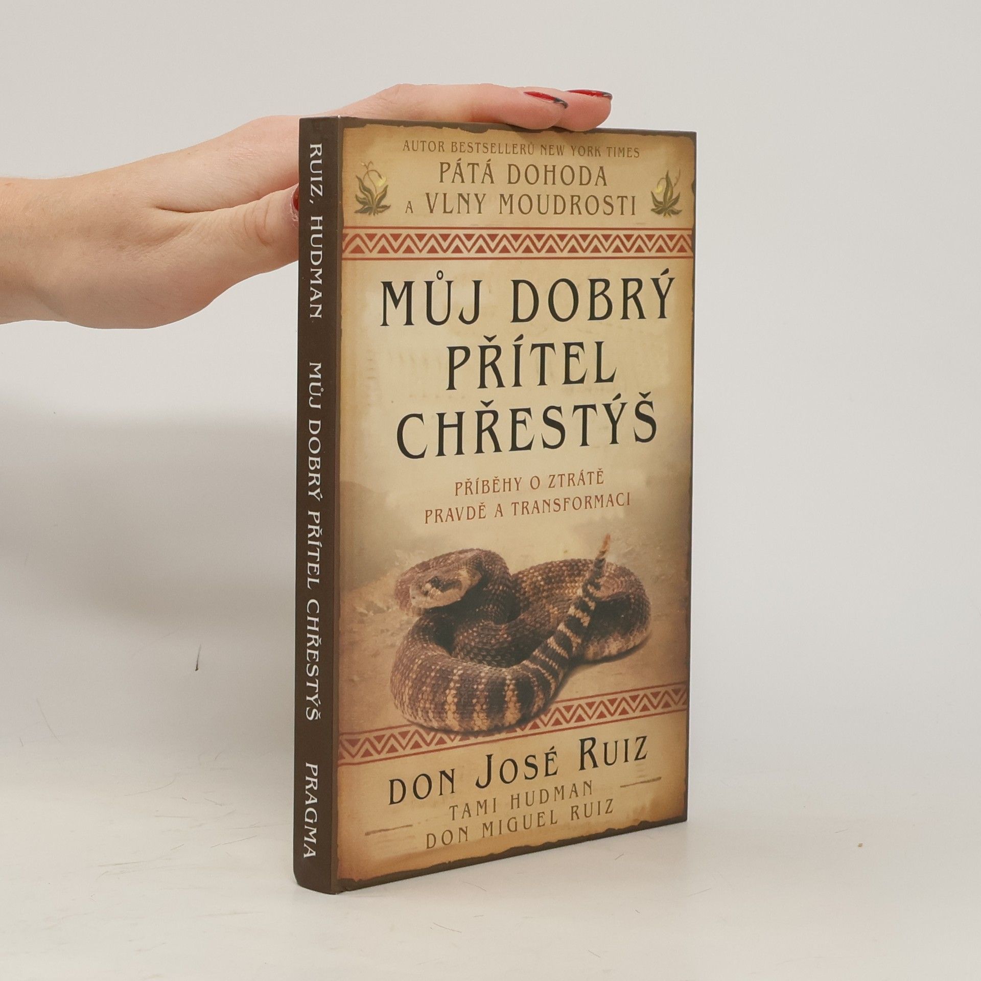 Don Jose Ruiz Můj dobrý přítel chřestýš : příběhy o ztrátě, pravdě a transformaci