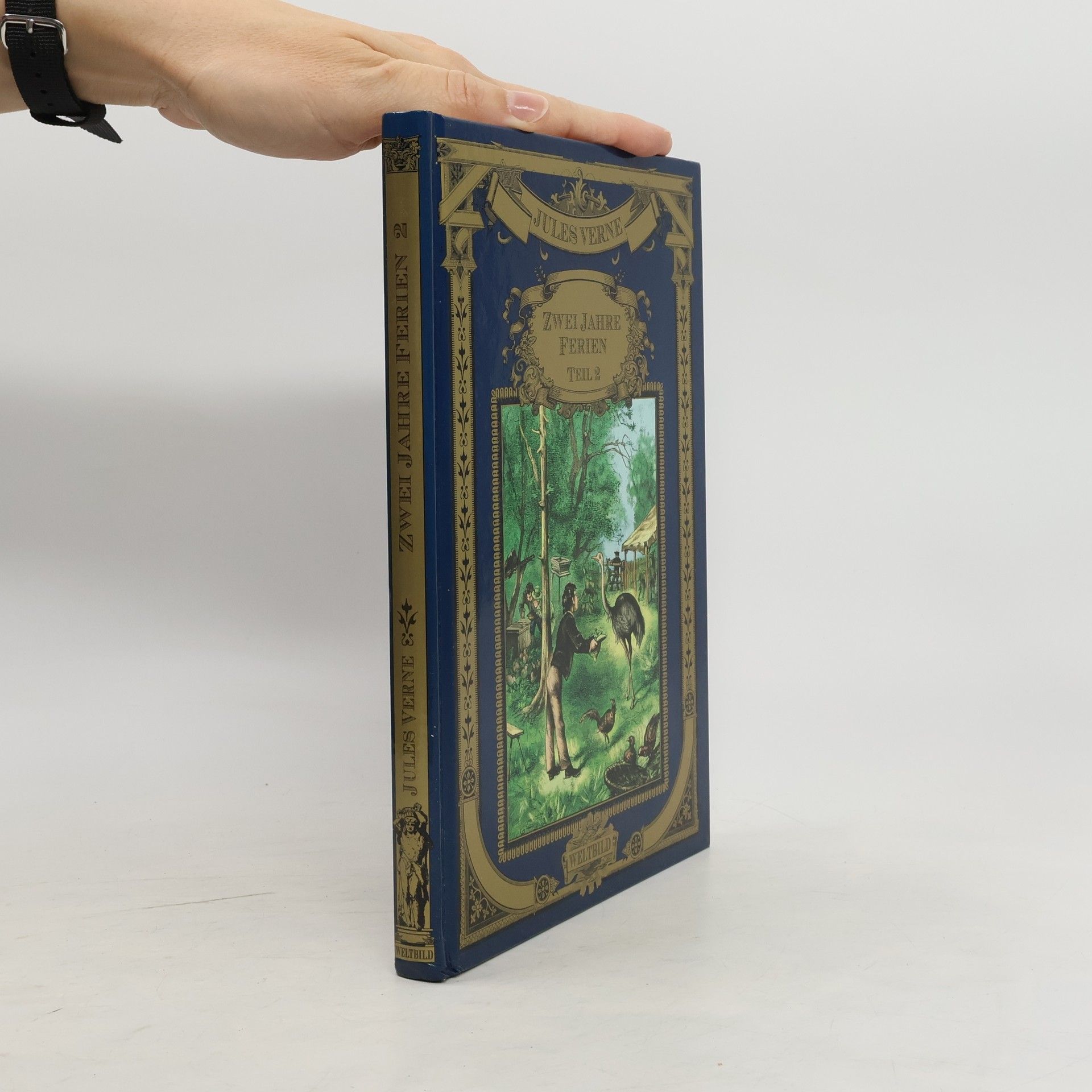 Jules Verne Zwei Jahre Ferien 2