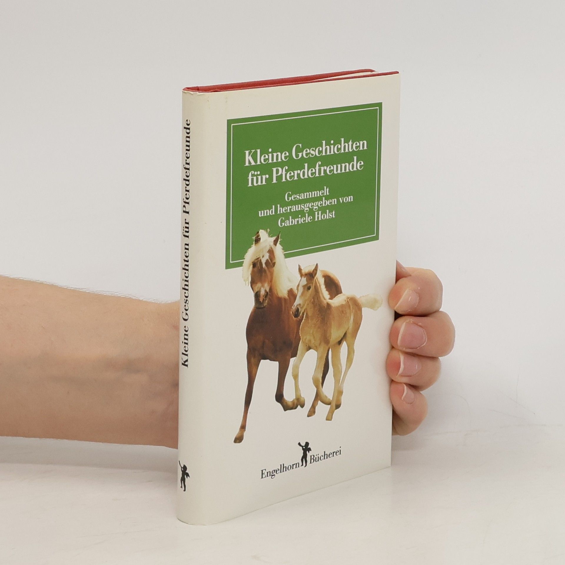 Gabriele Holst Kleine Geschichten für Pferdefreunde