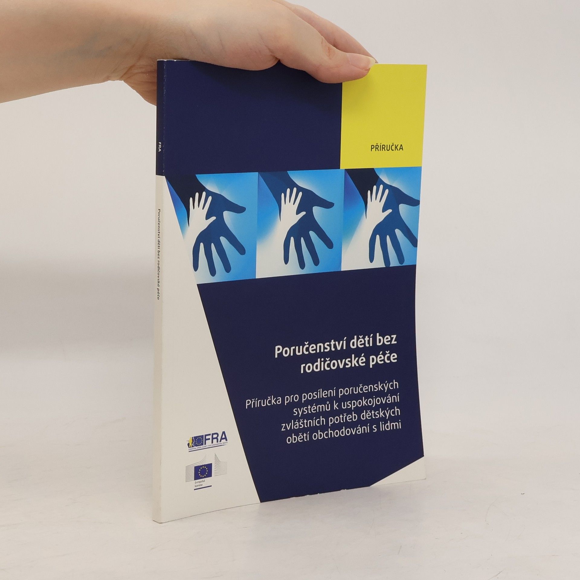 Kolektiv autorů Poručenství dětí bez rodičovské péče