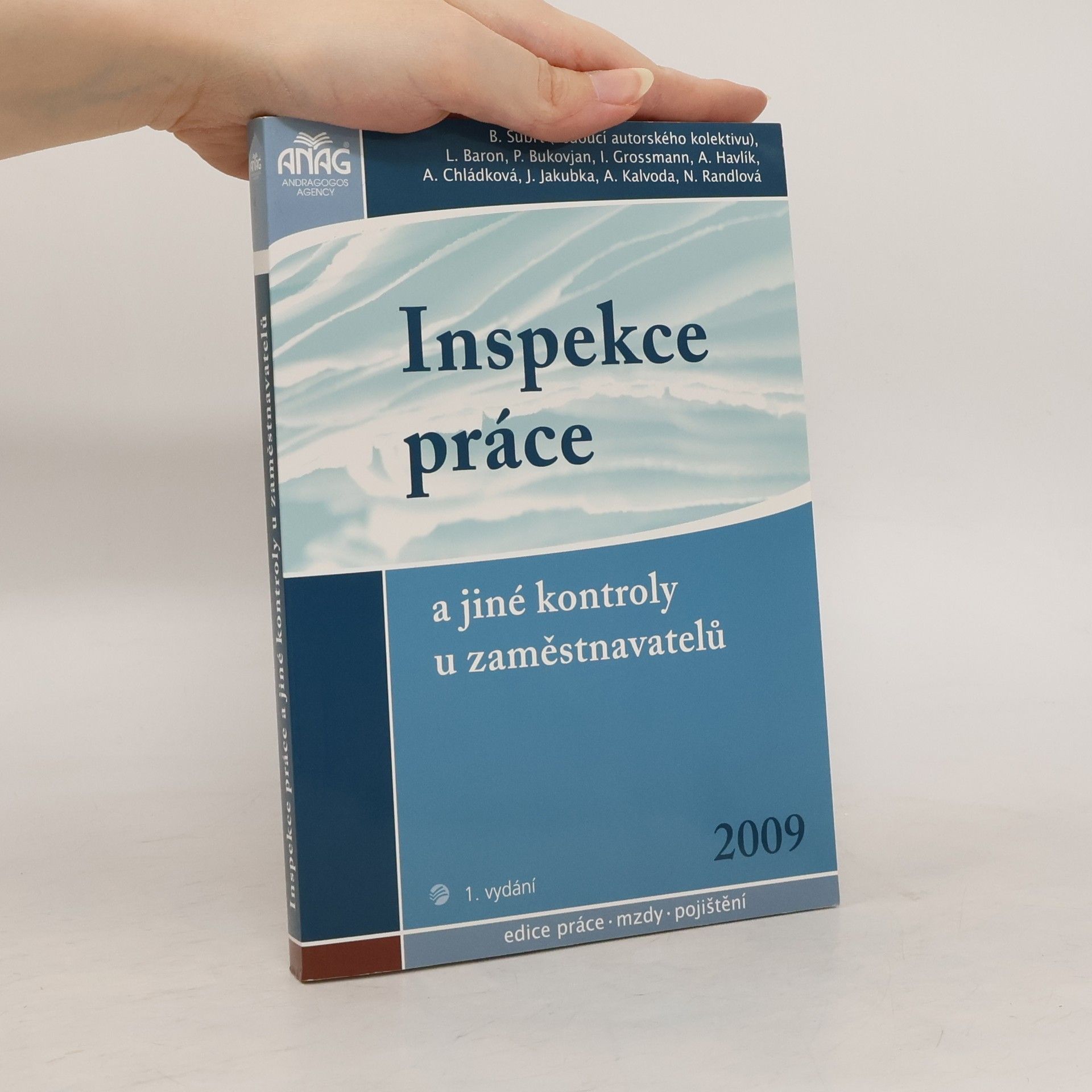 Bořivoj Šubrt Inspekce práce a jiné kontroly u zaměstnavatelů