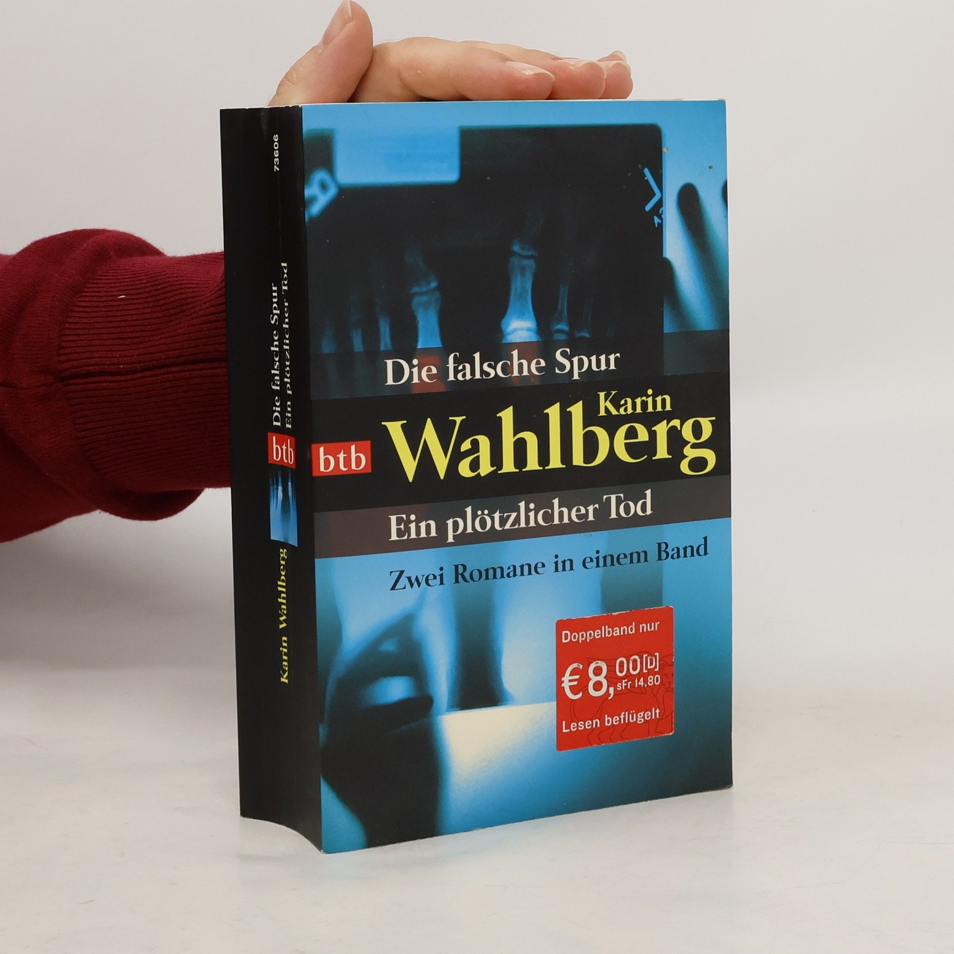 Karin Wahlberg Die falsche Spur