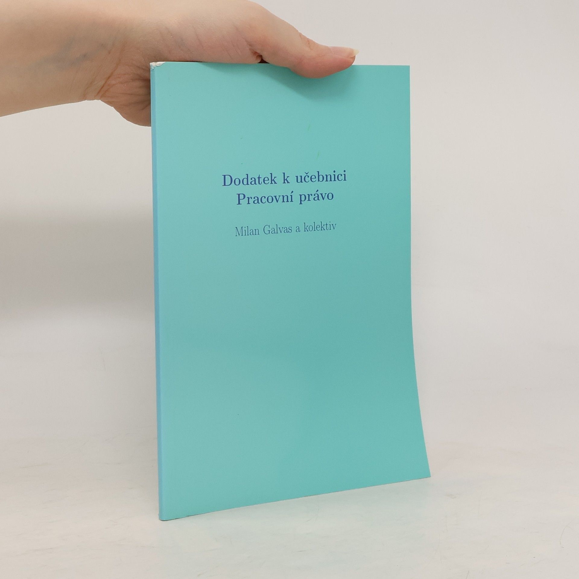 Kolektiv autorů Dodatek k učebnici Pracovní právo