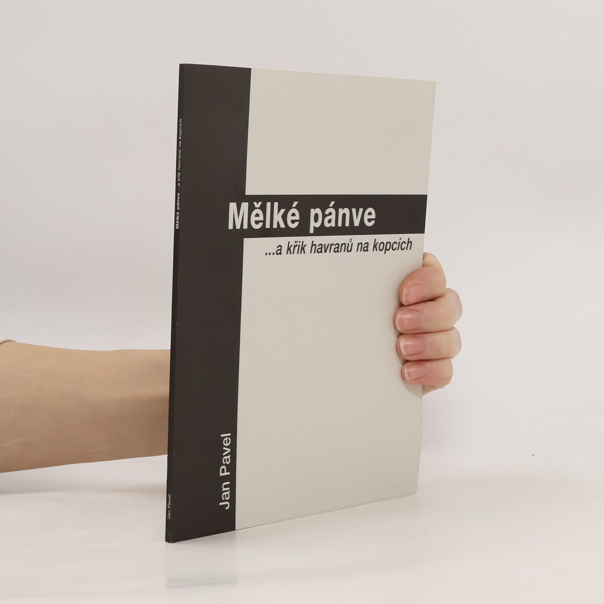 Jan Pavel Mělké pánve ...a křik havranů na kopcích