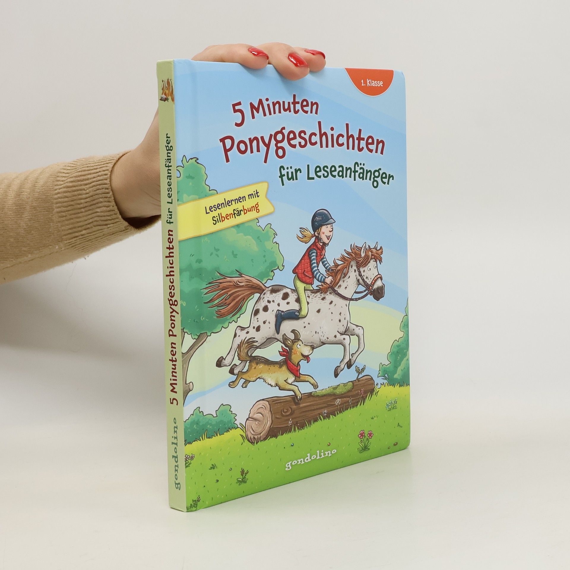 Auteurscollectief 5 Minuten Ponygeschichten für Leseanfänger 1. Klasse - Lesenlernen mit Silbenfärbung