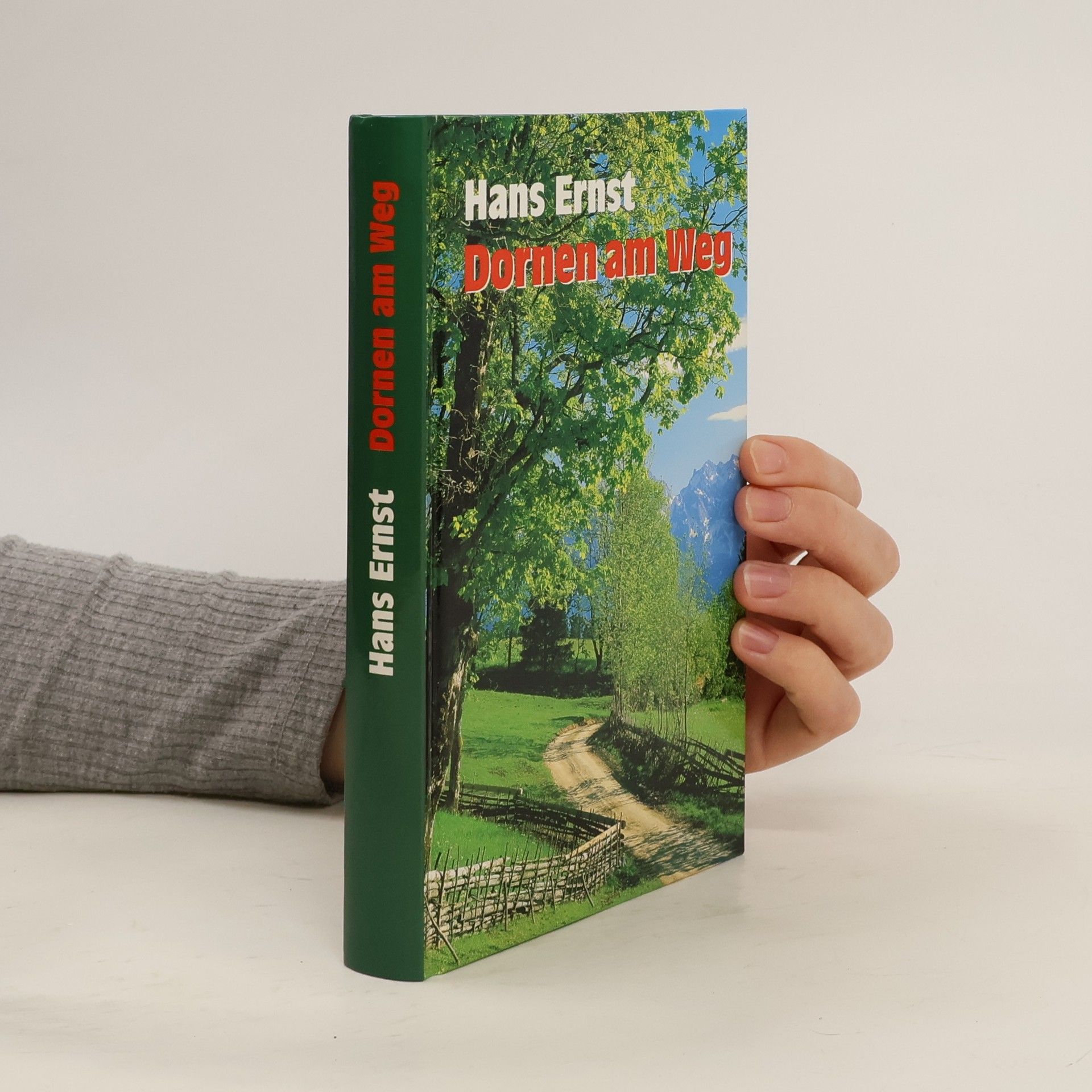 Hans-Ernst Schwiete Dornen am Weg