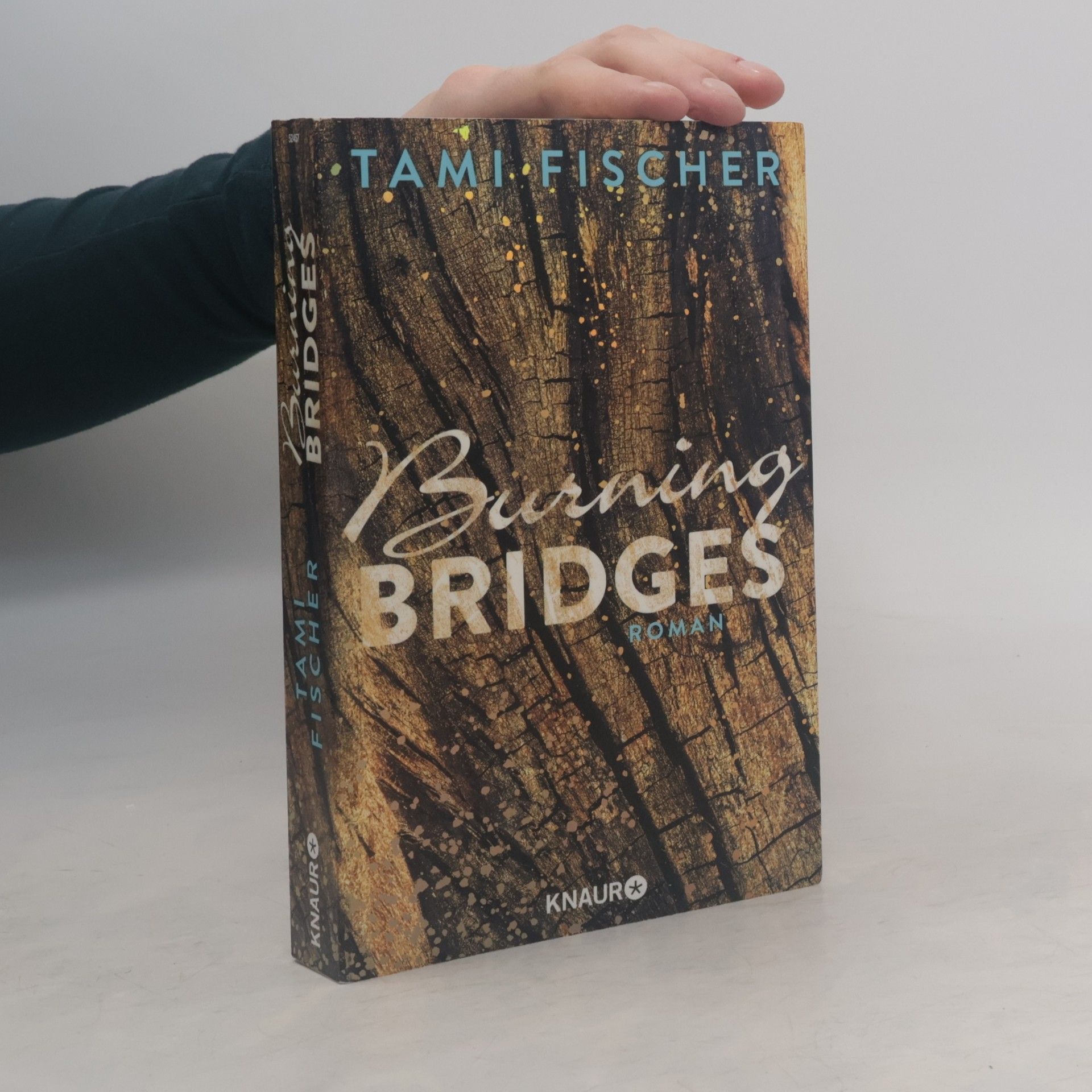 Tami Fischer Burning bridges