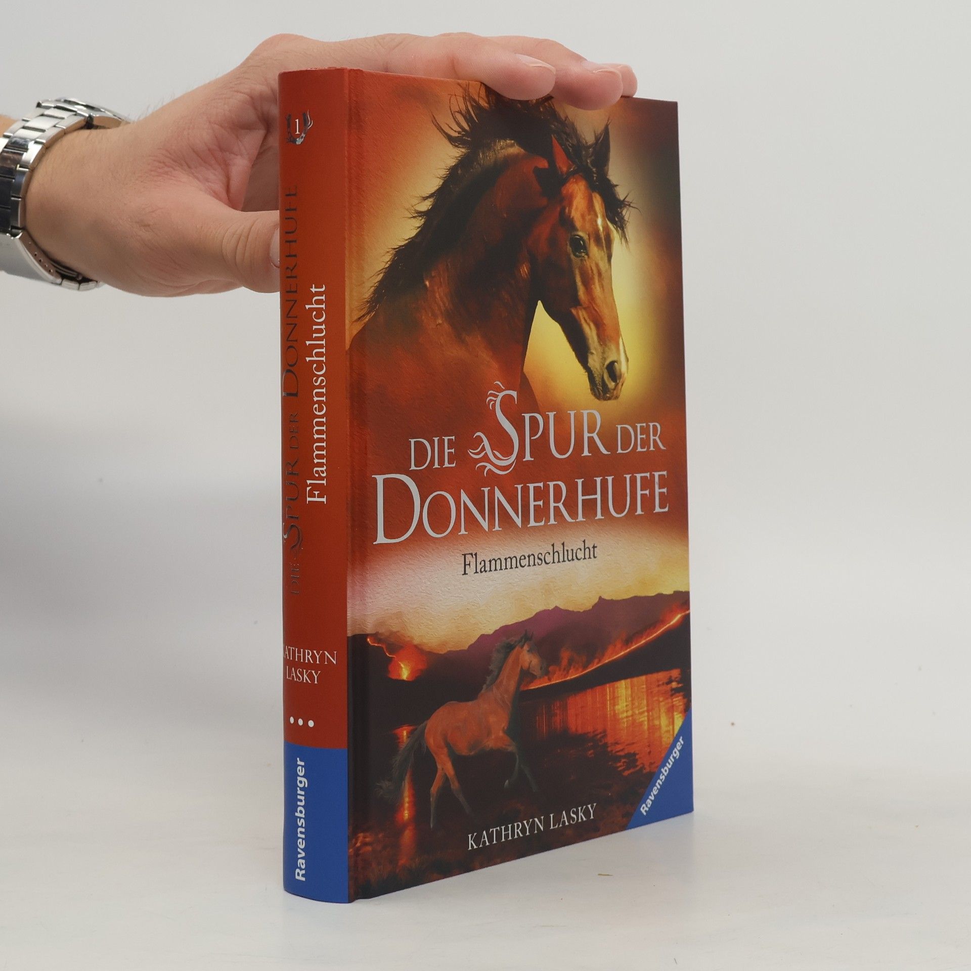 Kathryn Lasky Flammenschlucht
