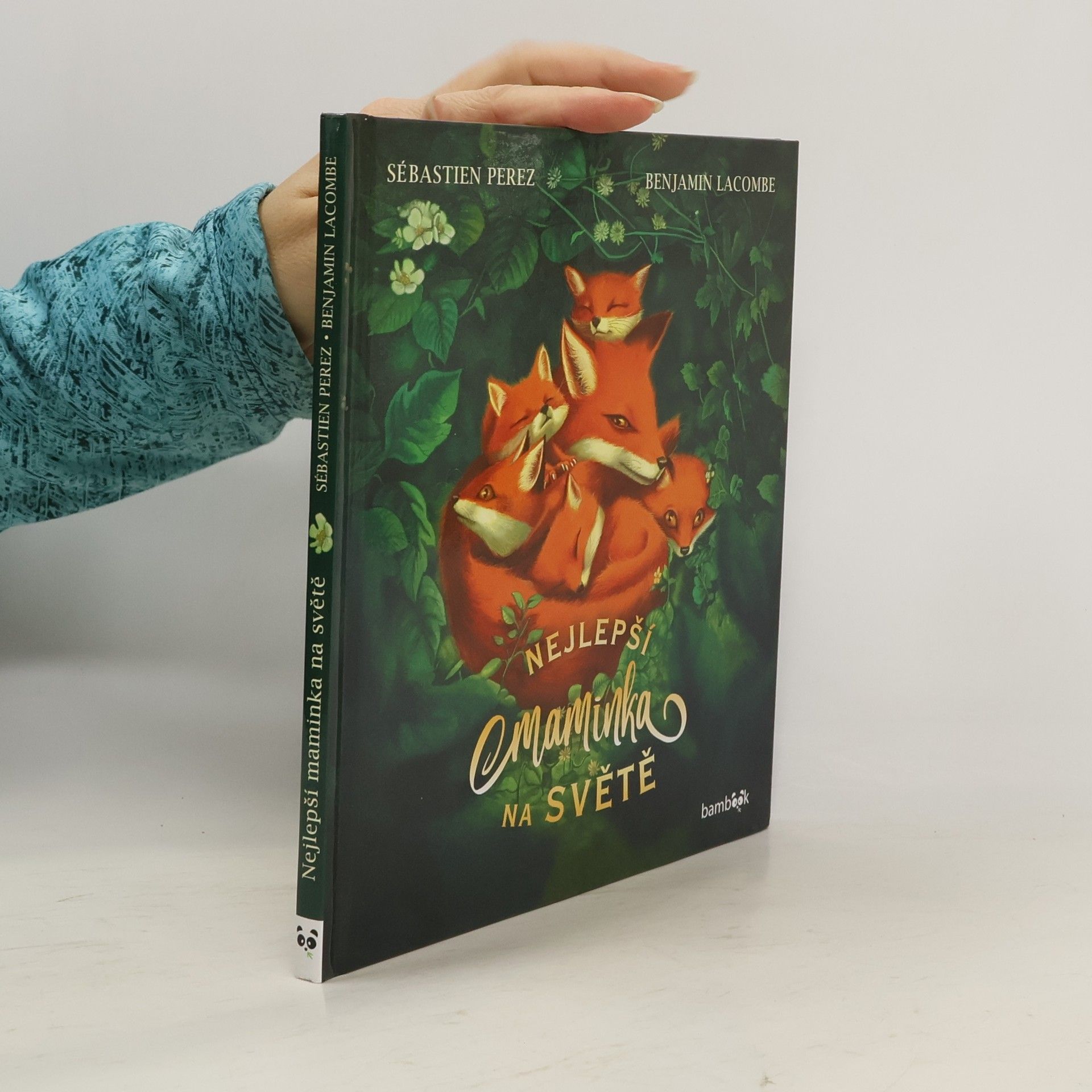 Sébastien Perez Nejlepší maminka na světě