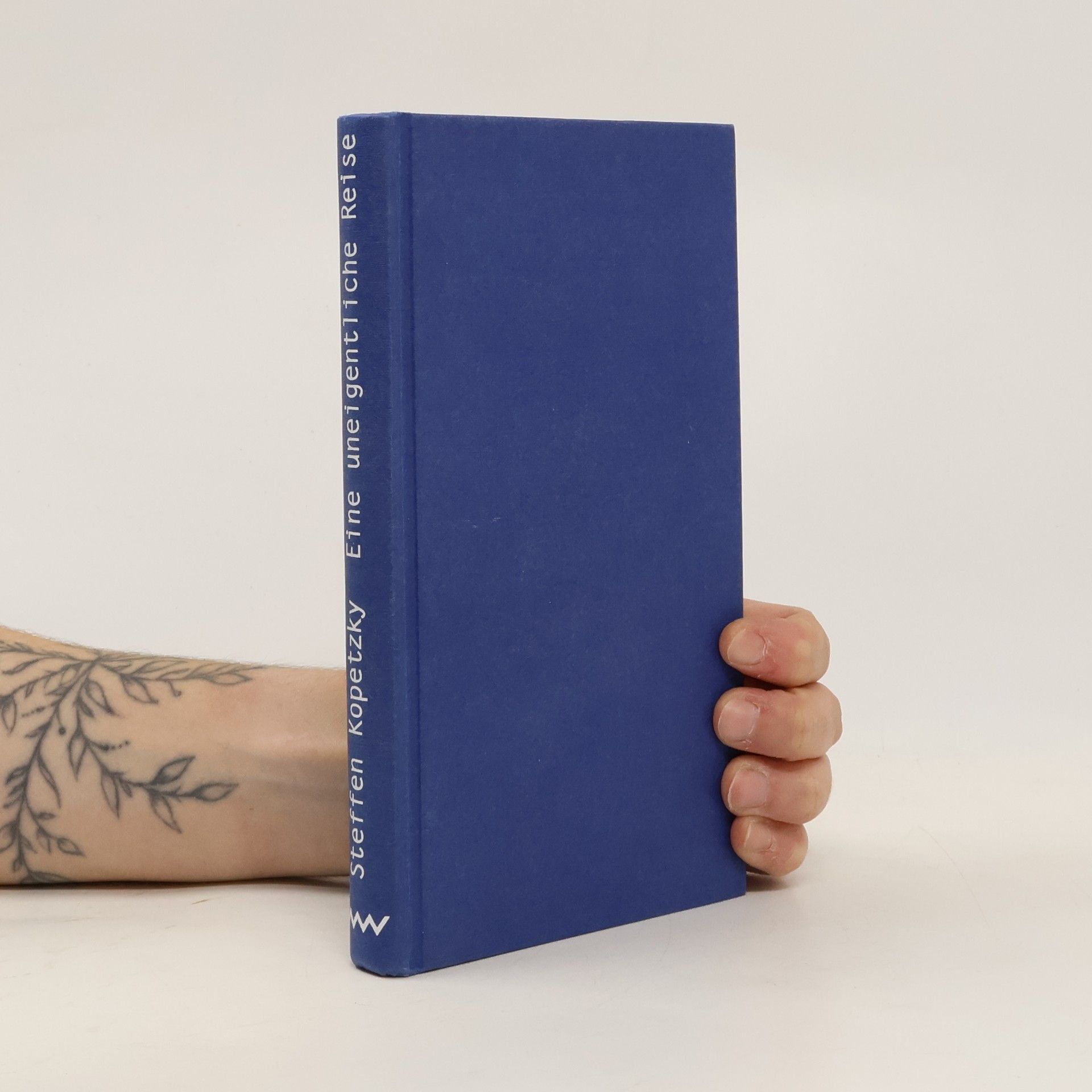 Steffen Kopetzky Eine uneigentliche Reise