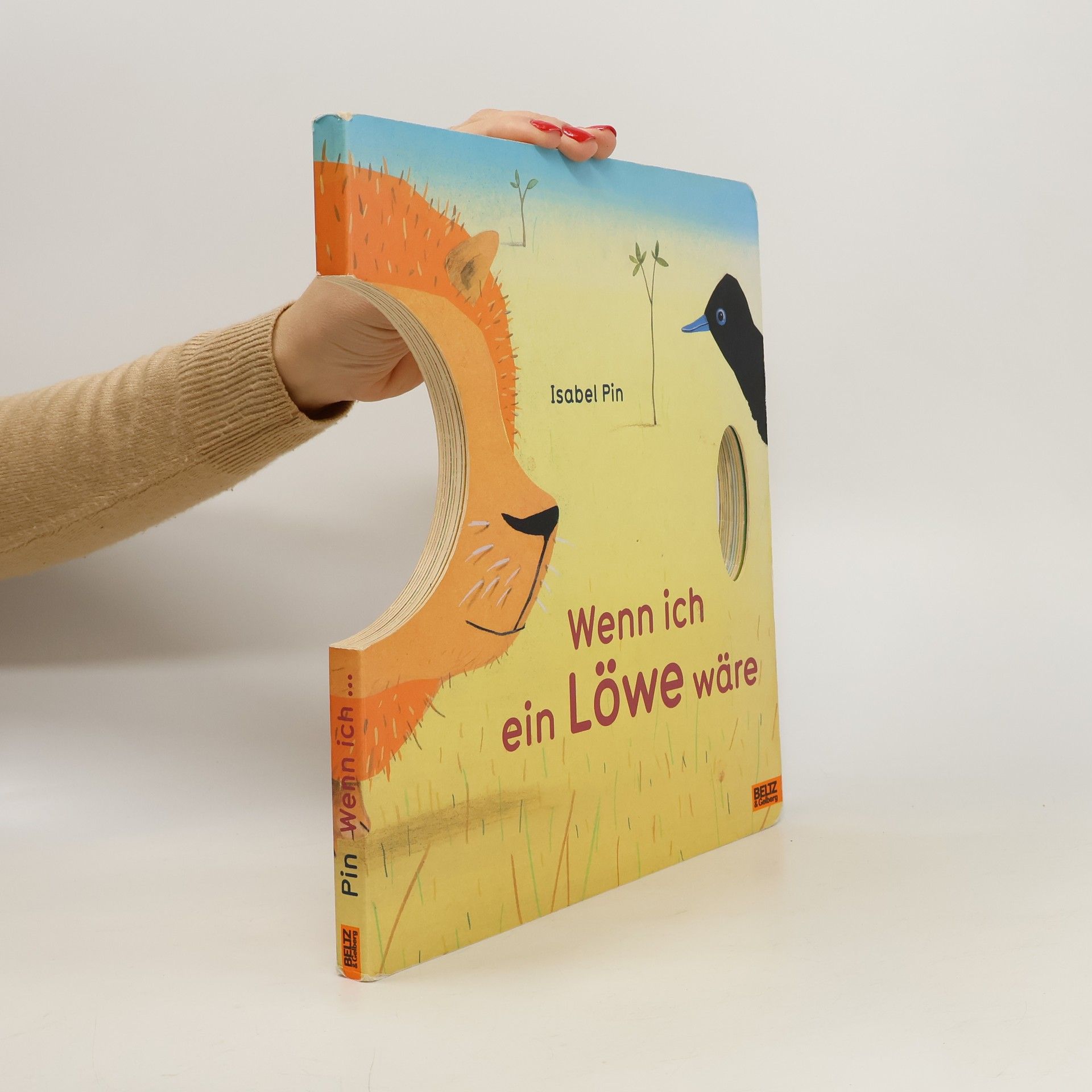 Isabel Pin Wenn ich ein Löwe wäre